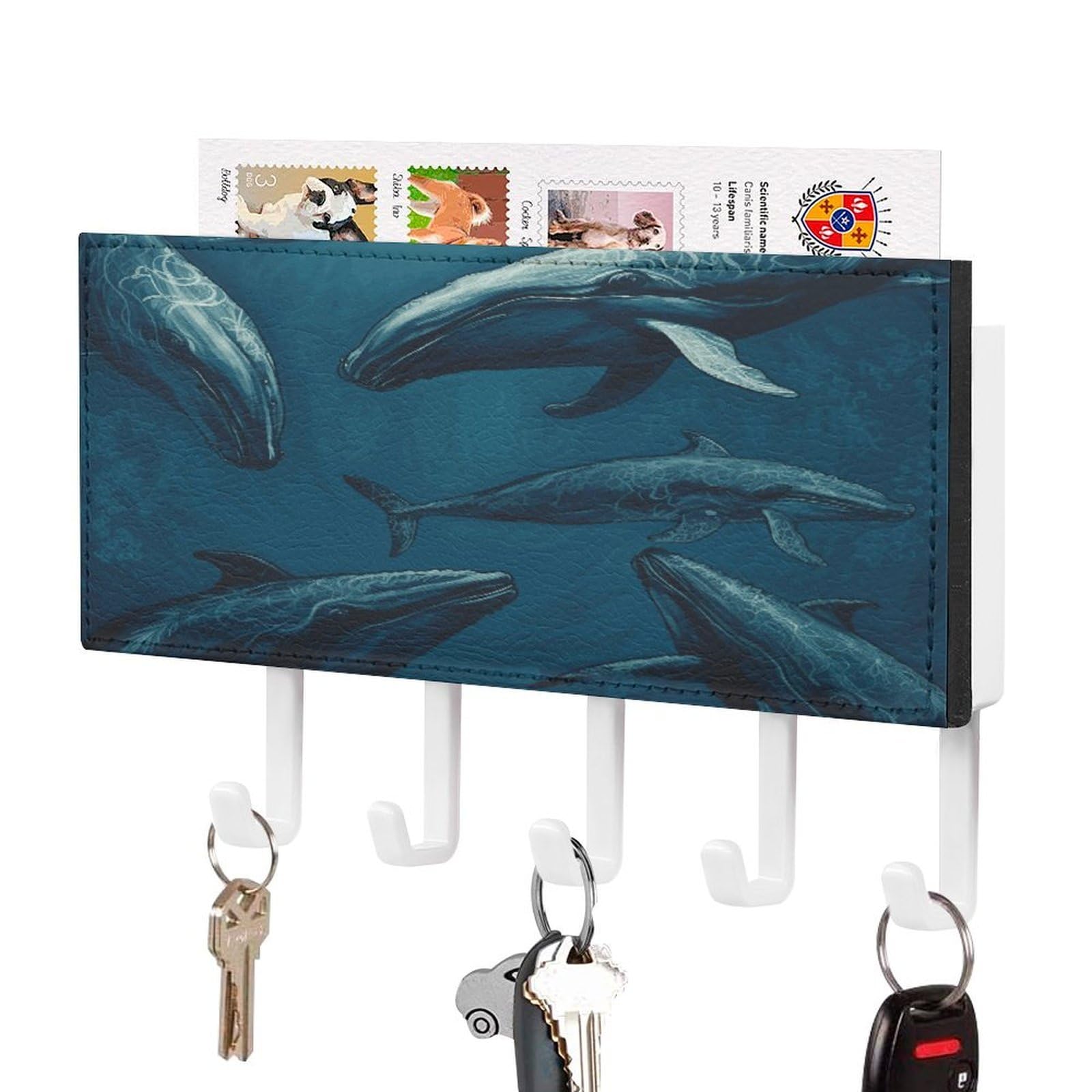 FekiLoot Ocean Whale Key Holder for Wall Decorative Mail Organizer with 5 Key Hook Self Adhesive Key Rack with Tray Coat Rack Wall Mount Key Hanger Decor for Entryway Door