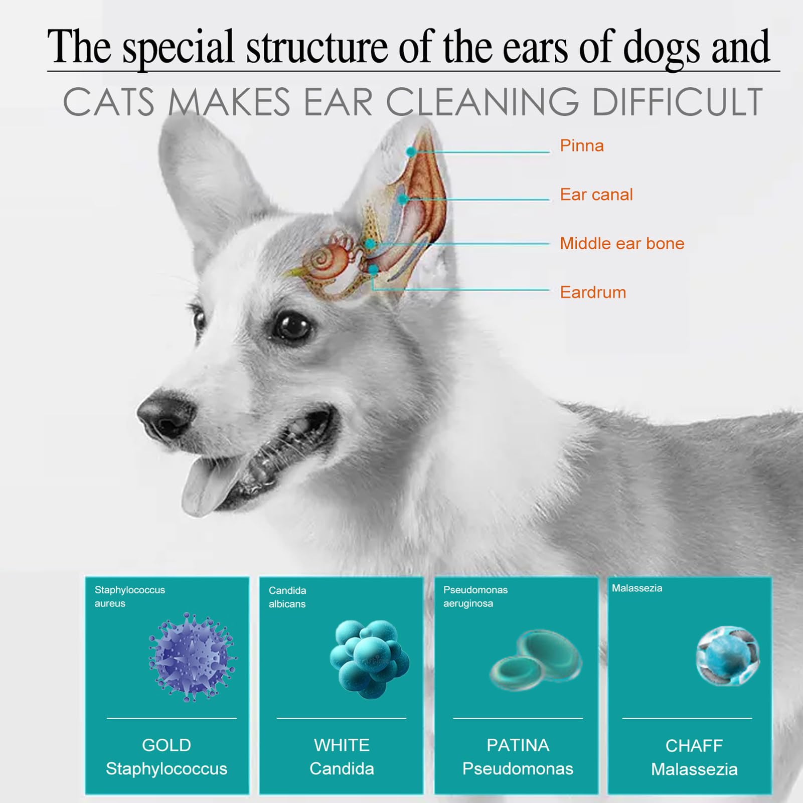 Nettoyant d'oreille avancé pour chiens et chats, nettoie le conduit auditif, désodorisant et anti-démangeaisons, solution naturelle de nettoyage des oreilles de chien pour chiens, chats,