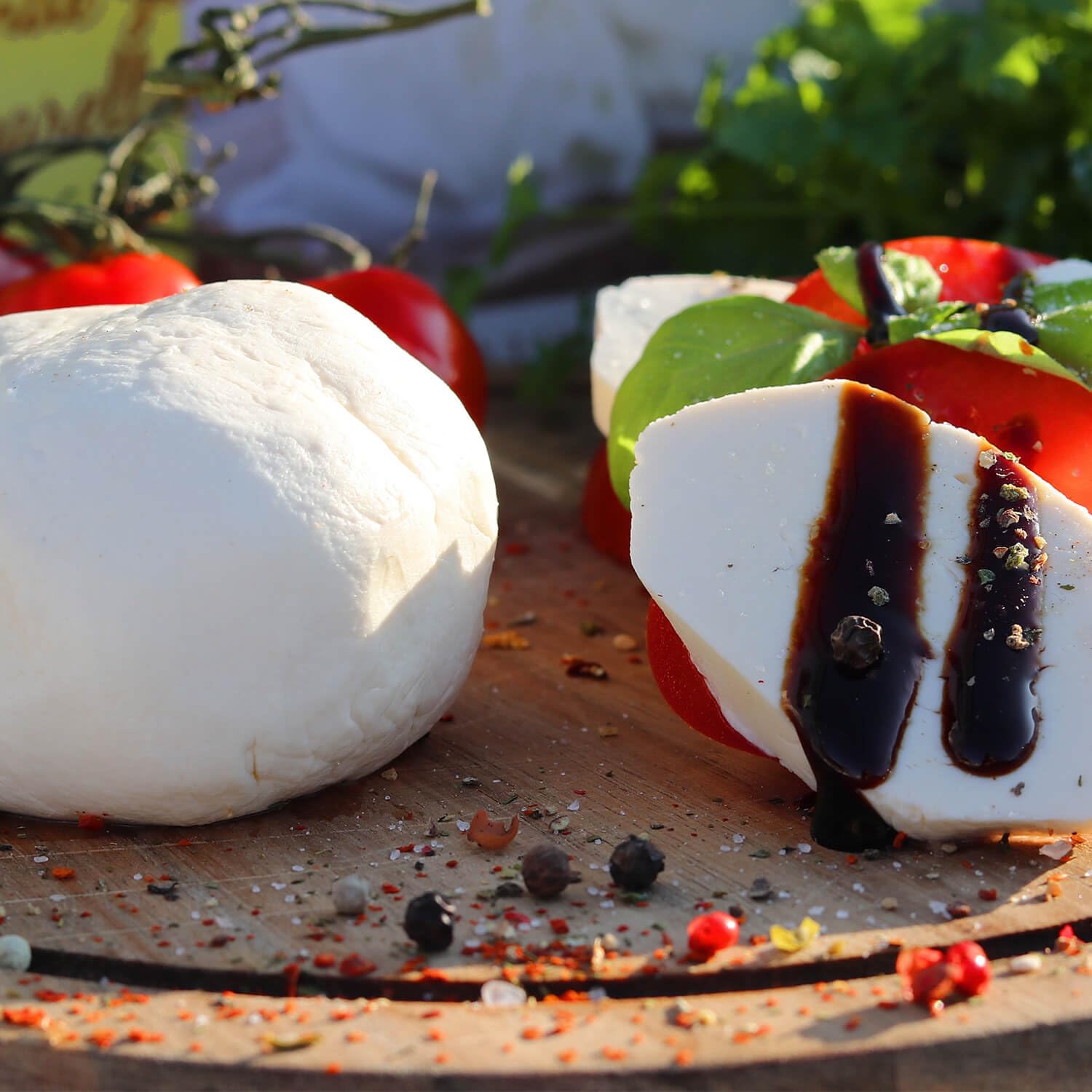 T1 mozzarella Queso culturas 15 g thermophil (Queso sí hacen), reifung, maduración Cultura