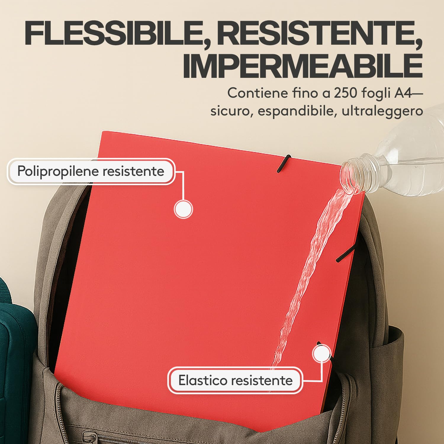 8 Cartelle Elastiche A4 ACROPAQ - Fino A 200 Fogli, Colori Terra - Foto 3