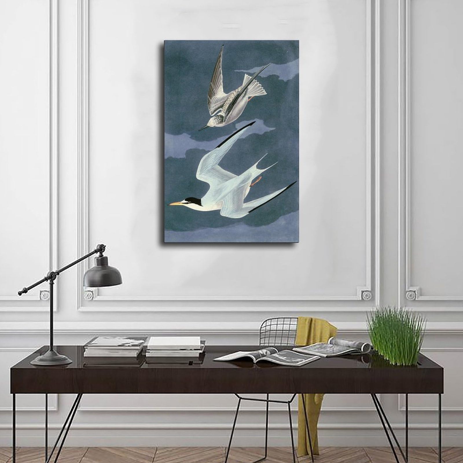 ANFOTCM John James Audubon, mała rybitwa, artystyczna dekoracja ścienna plakat rodzinny bar restauracja garaż kawiarnia sztuka znak prezent 20 x 30 cali (50 x 75 cm)