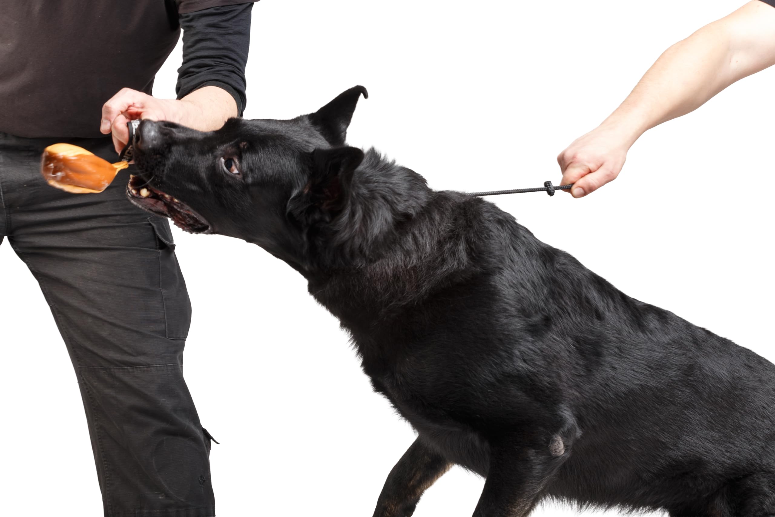 Dingo Gear S04062 Collier étrangleur pour Dressage de Chien Fait Main en Cordon avec limiteur Noir Taille XL
