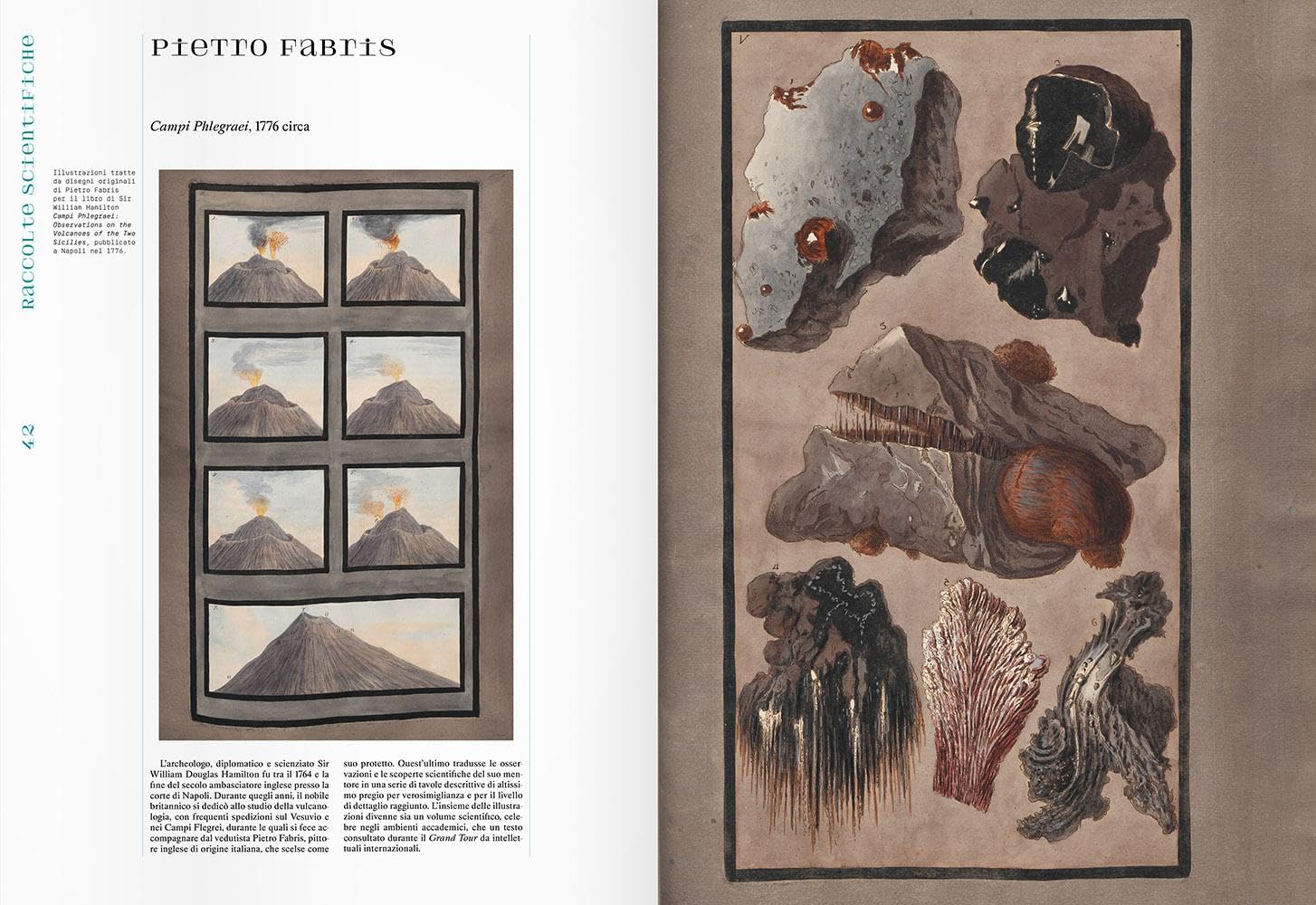 Mineralia. Ediz. illustrata