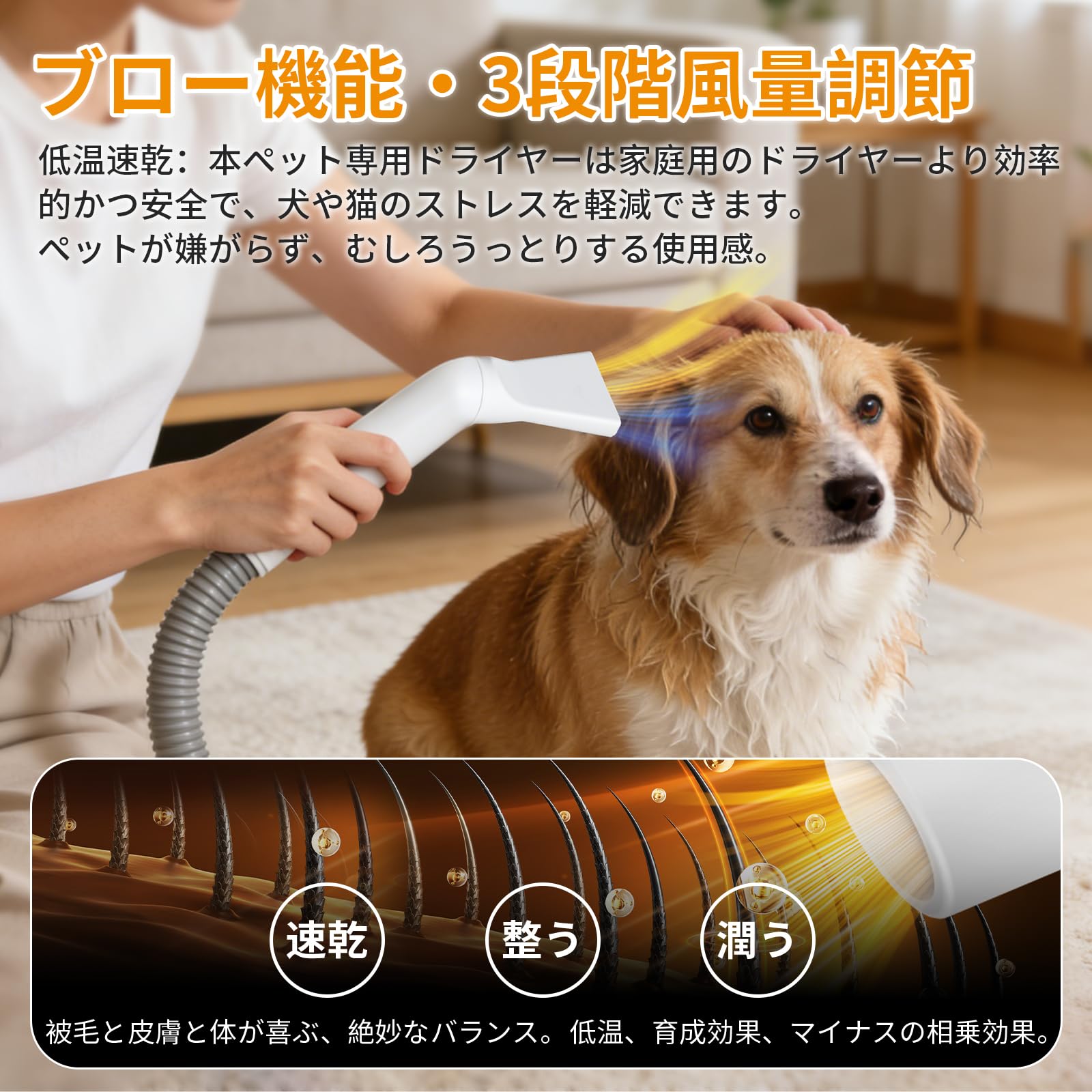 0028455【2025最新登場・万能型】犬用バリカン ペット用バリカン Amazon.co.jp: 【2025最新登場・万能型】犬用バリカン ペット用