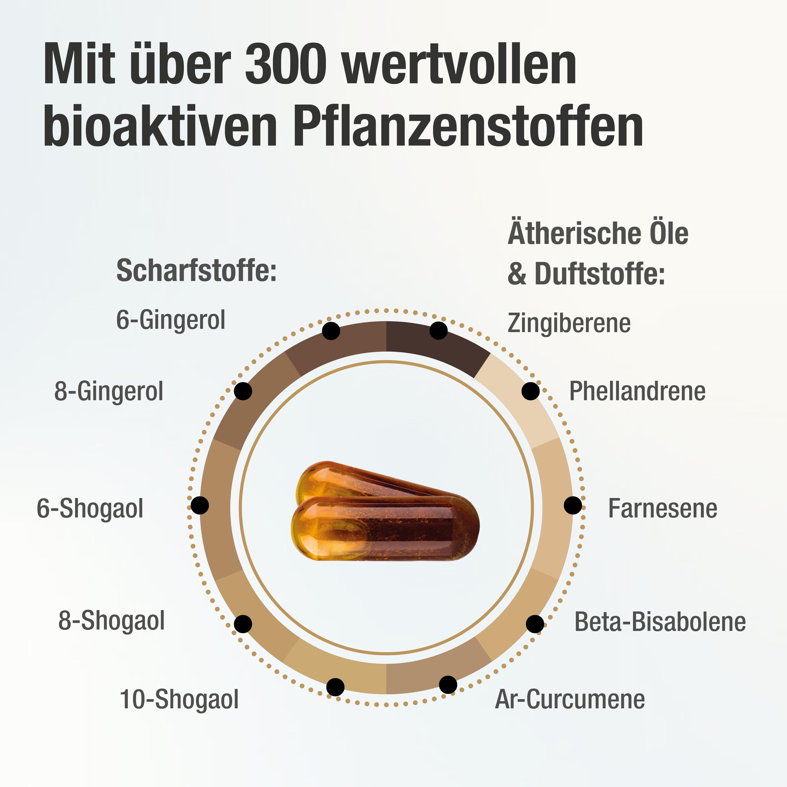 Stärkste Bio Ingwer Kapseln - 22.000mg Ingwerpulver pro Tagesdosis - höchste Gingerol & Shogaol Werte - 2 Kapseln Gingerin PLUS liefern den gleichen Ingwer Gehalt wie 33 andere Ingwertabletten