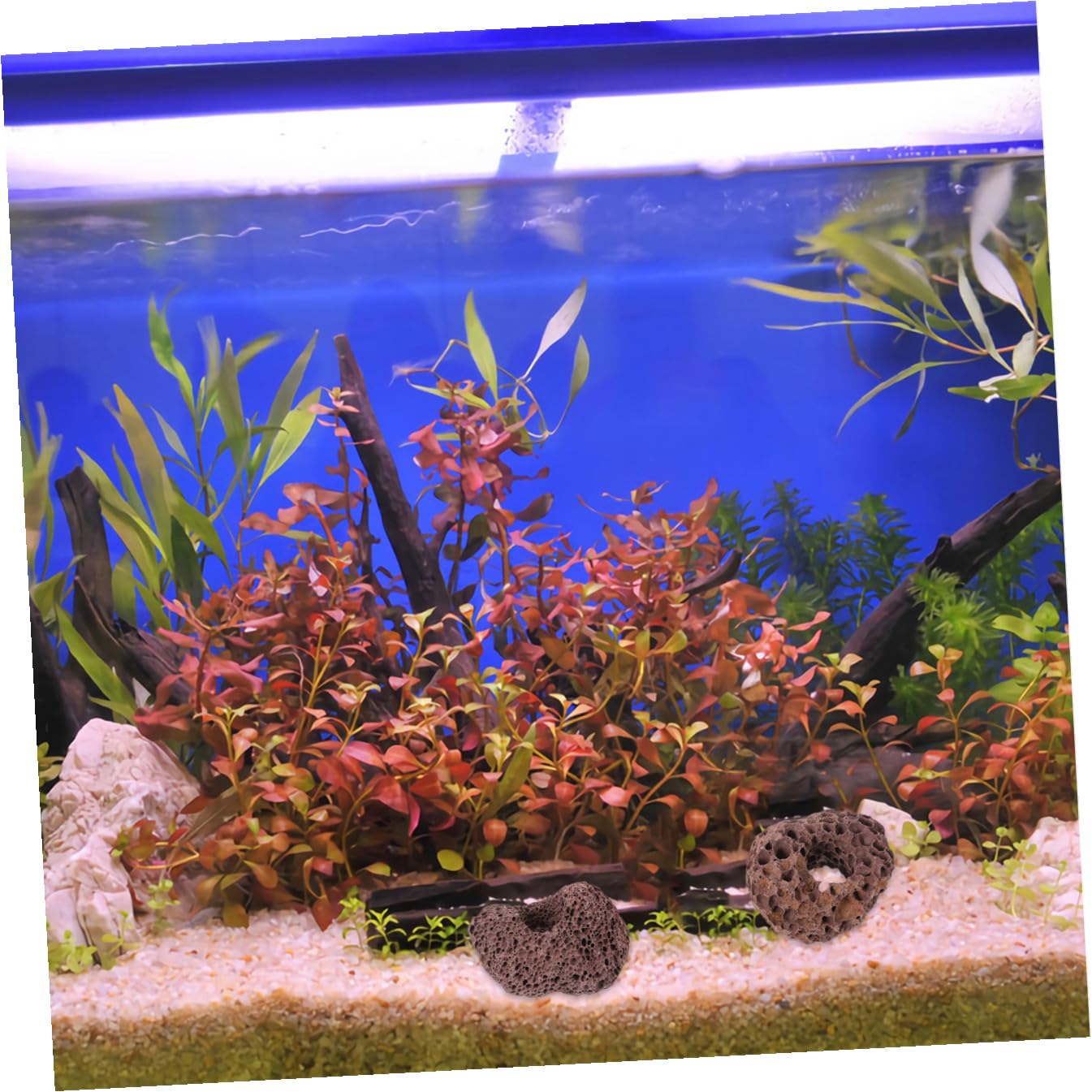 Didiseaon 10pièces Abri pour Poissons Roche Naturelle Décoration Aquarium Forme De Grotte Habitat pour Poissons Eau Douce Et Eau De Mer