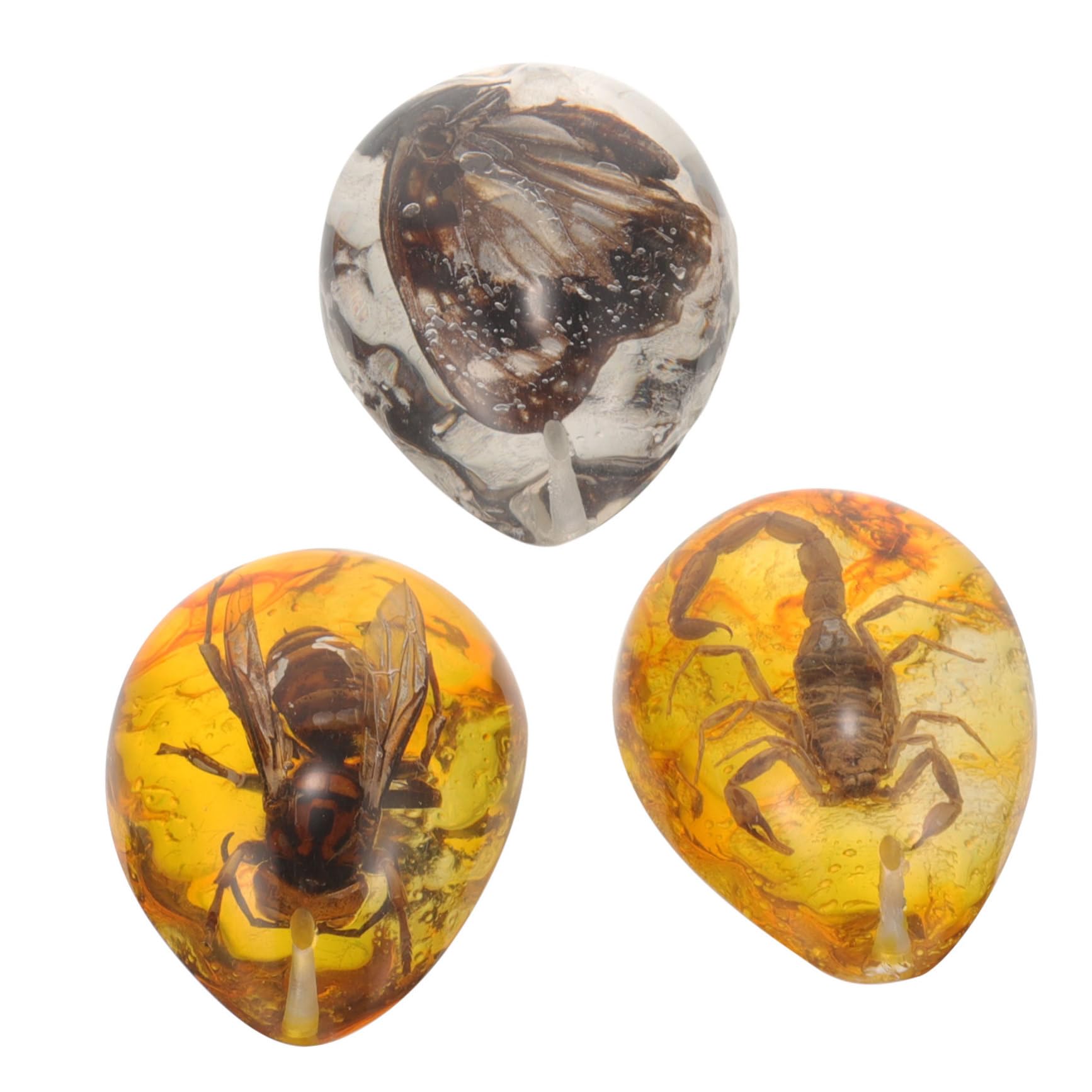TOYANDONA 15pezzi Insetti Decorazioni Per Collezionisti e Appassionati Insetti Specimen e