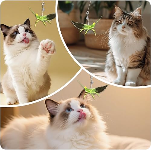Miniatura 5 de 3 piezas de juguetes de plumas para gatos, juguetes interactivos para gatos con simulación de plumas, insectos, recambios de saltamontes, accesorios