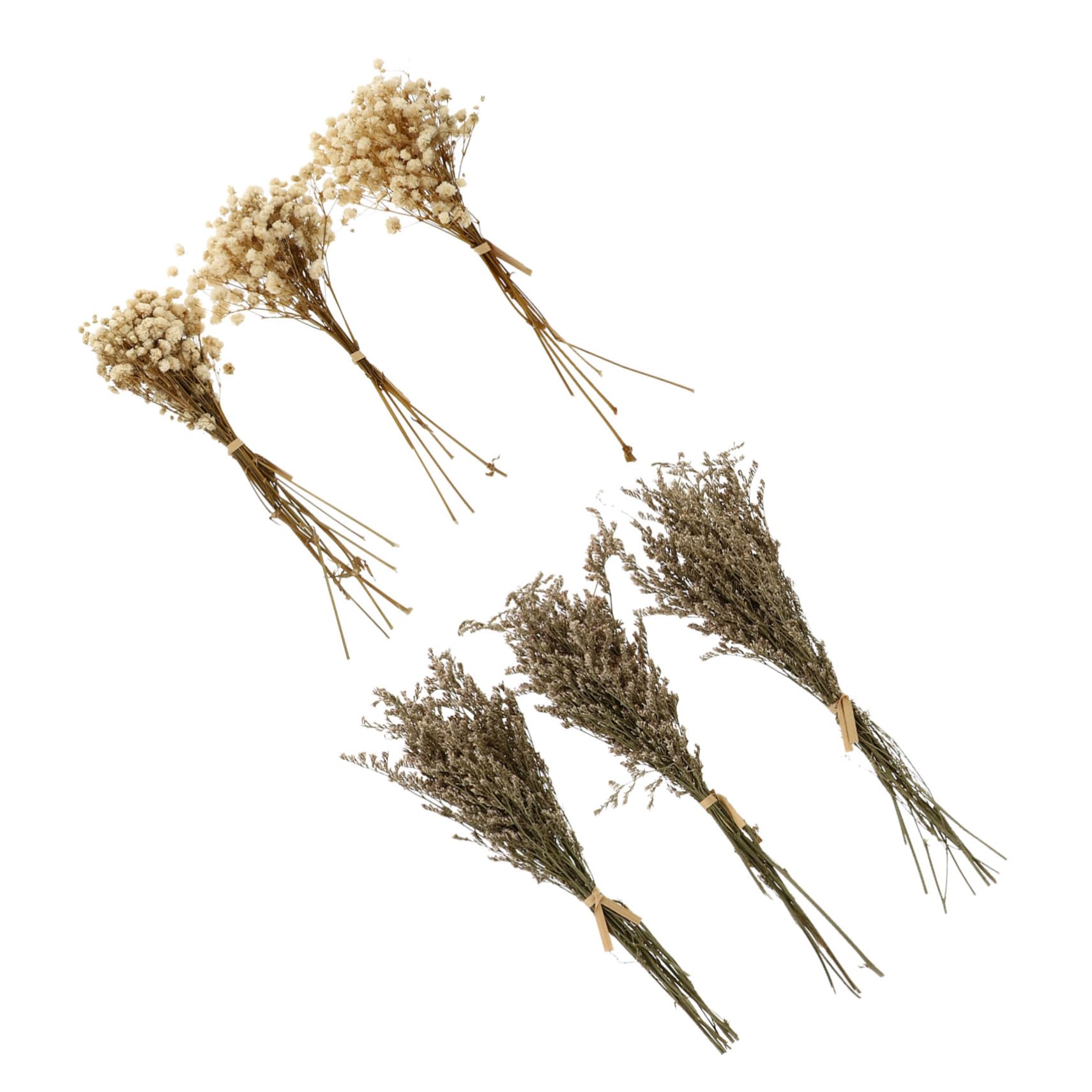 MAGICLULU Lot De 5 Bouquets De Fleurs Séchées Décoration Dintérieur Bouquets Légers pour Salon Ne Se Fanent Pas pour Soirées Dansantes Anniversaires 6 Pièces X 5