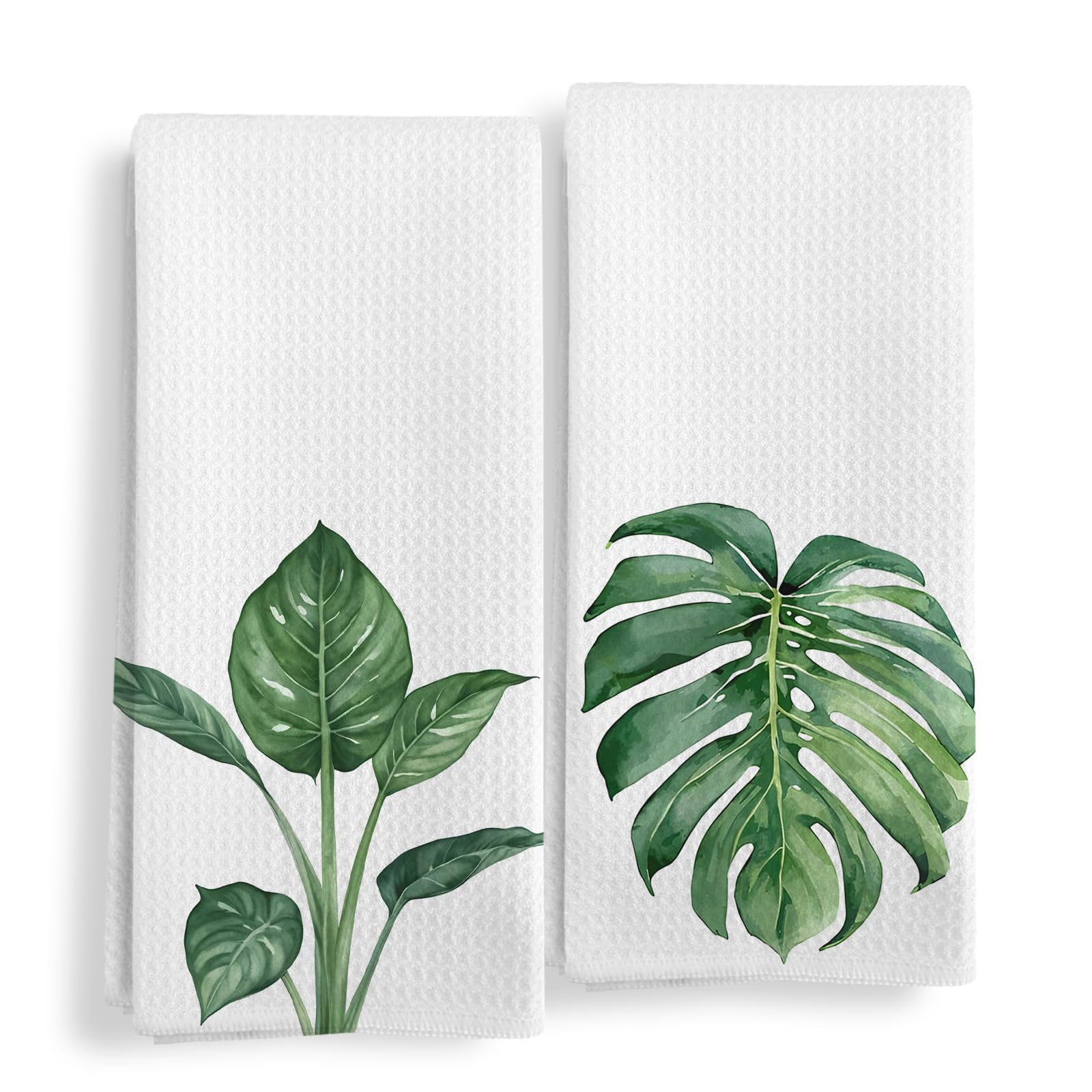 Qeheb Tropical Leaf Botanical Kitchen Towels Set of 2, Epipremnum Aureum and Monstera Deliciosa Leafage Decorative Dish Tea Towels, House Foliage