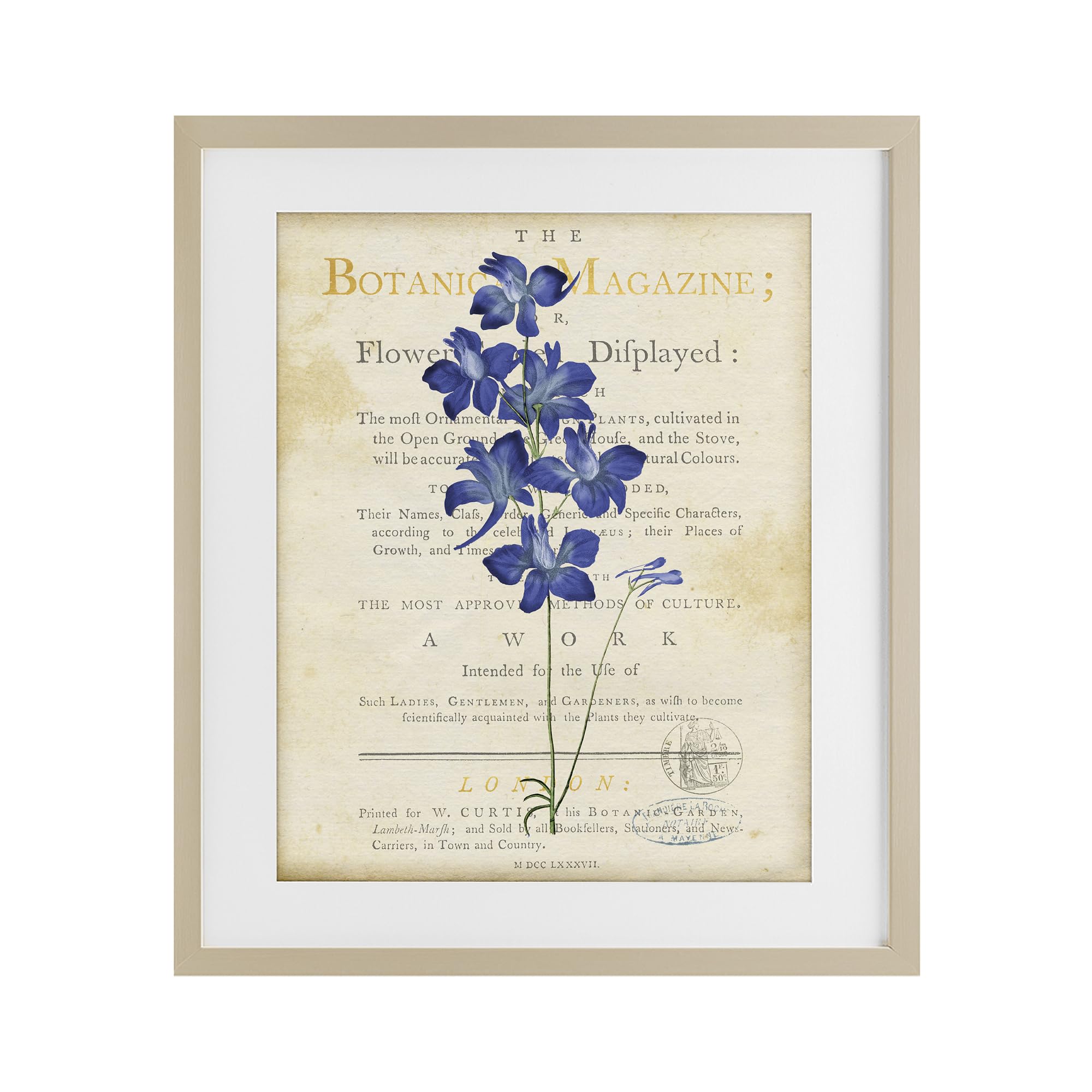 'Natural Botanic Garden Flower'| Framed Print Under Glass