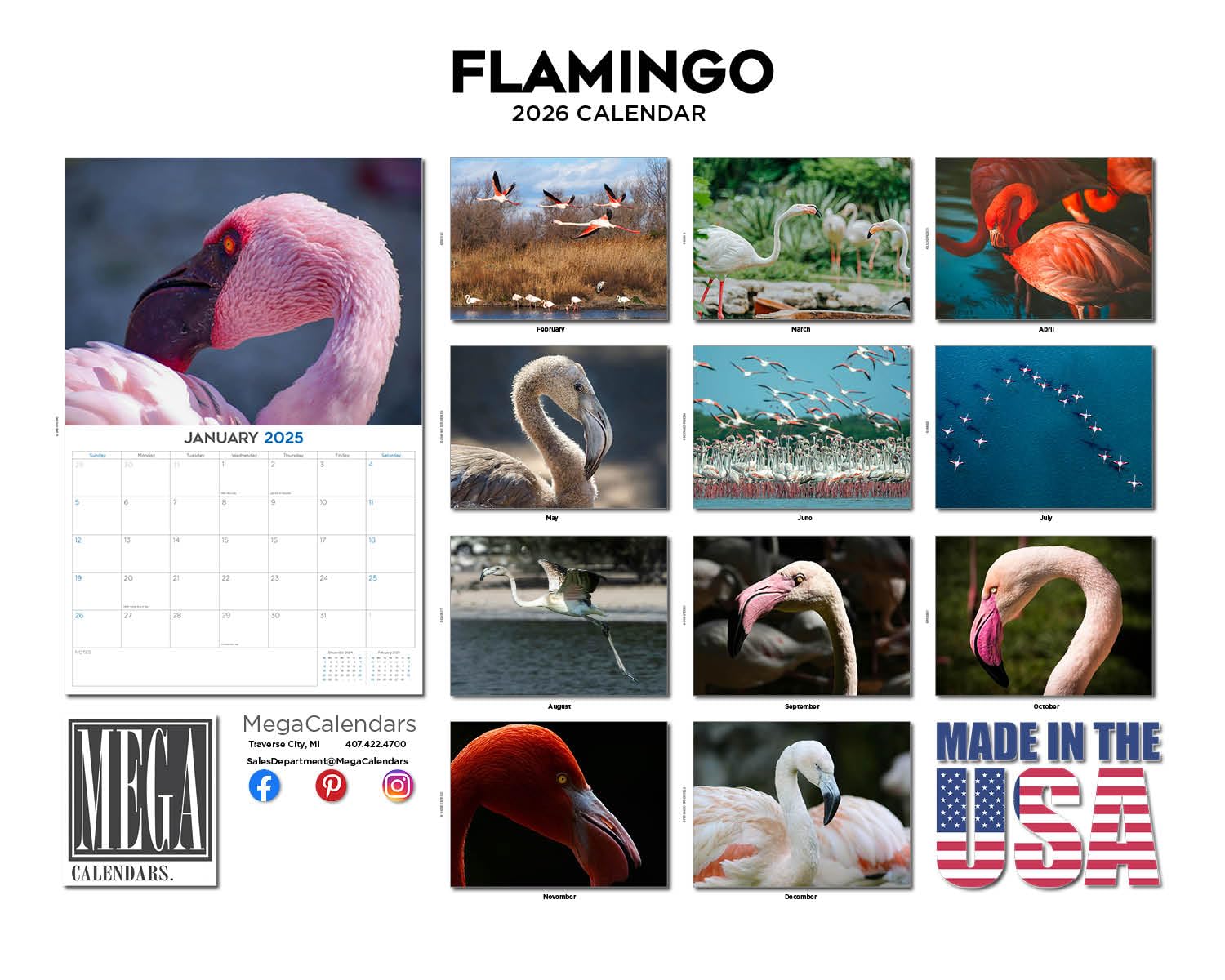 Calendario de flamencos 2024 2025, bonito calendario mensual de pared de vida silvestre, 12 x 18 pulgadas, abierto, papel grueso que no se corre, regalo, planificador académico para profesores,