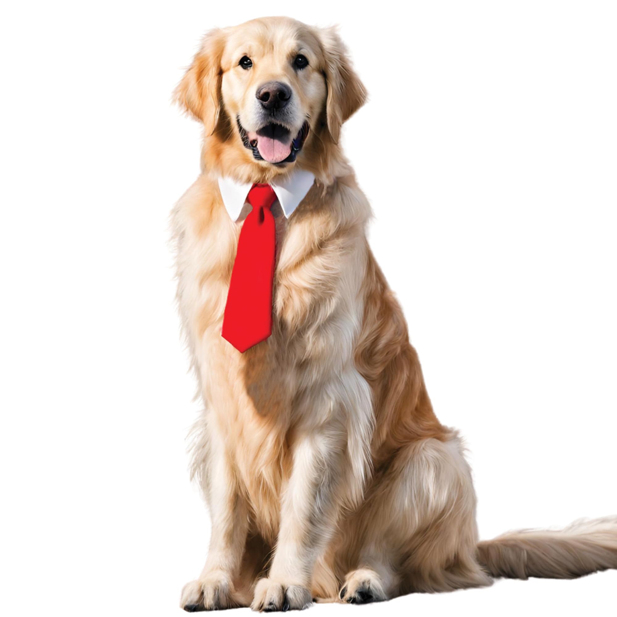 Pawsindia Bowtie Collar for Dogs | Perfect Blend of Fashion and Function for Your Furry Friend. (B0CYC3T1TR) Amazon Price History, Amazon Price Tracker