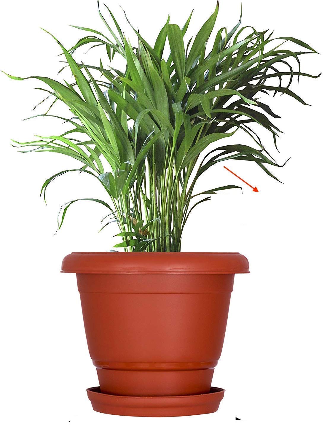 See full amazon price history chart for mastBus Plastic Round Pots for Plants Big with Drainage/Saucer Tray (Terracotta, 10 Inch, Pack of 5) mastBus Plastic Round Pots for Plants Big with Drainage/Saucer Tray (Terracotta, 10 Inch, Pack of 5) (B082HTB8JL) Amazon Price History, Amazon Price Tracker
