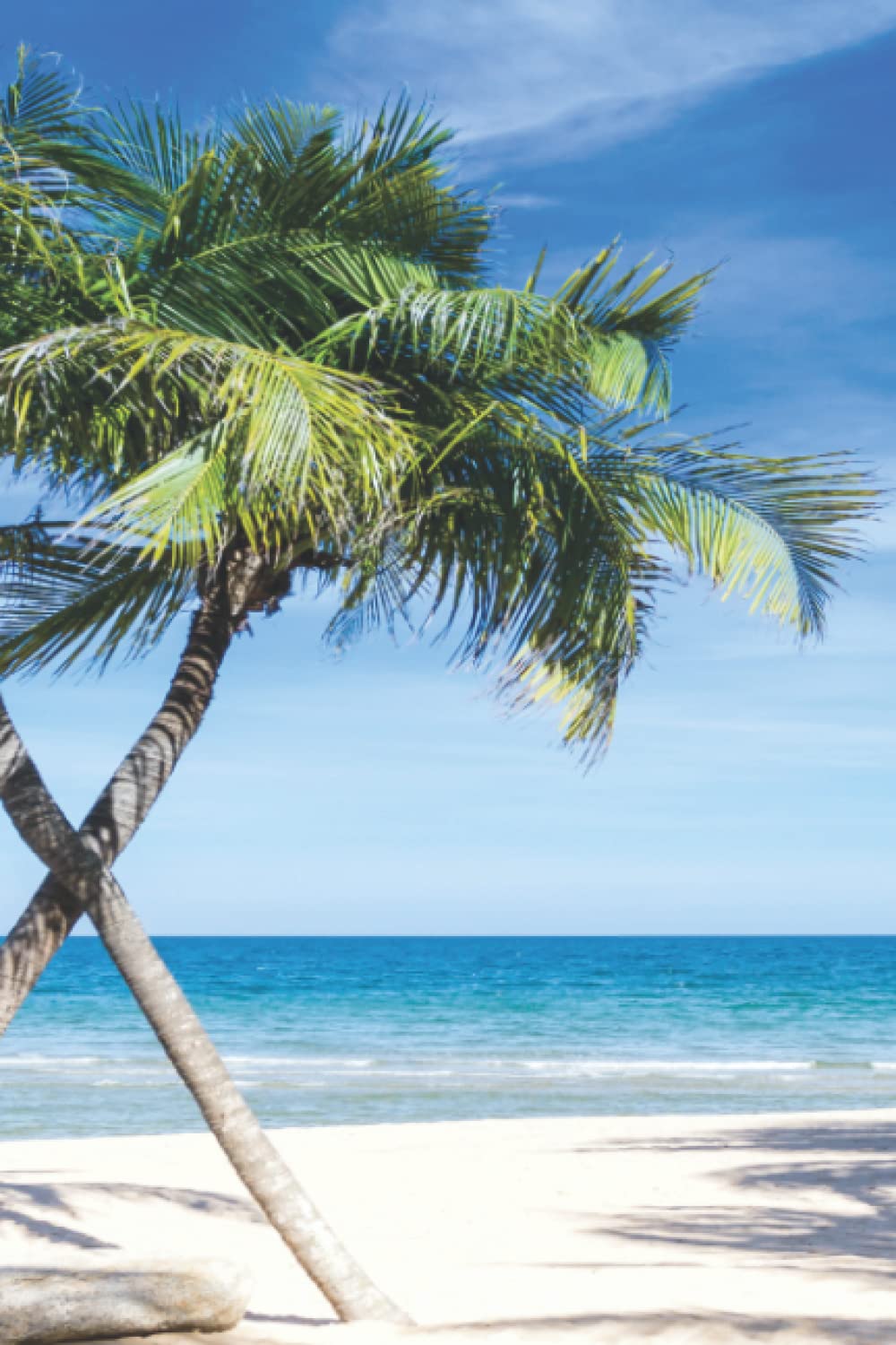 Palm Tree Journal: Blank Lined Notebook
