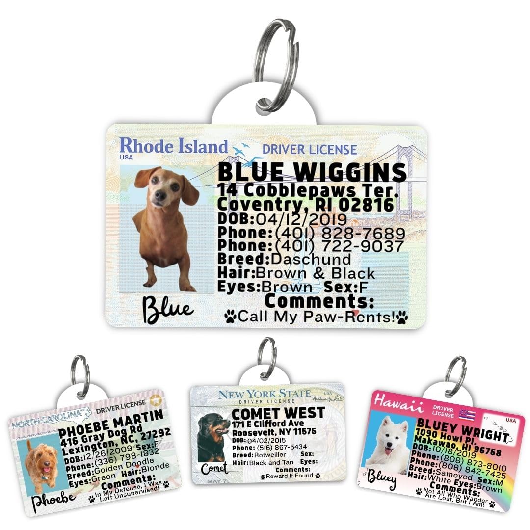 Driver License Custom Dog Tag for Pets and Wallet Card - Dog Tags for Dogs - Dog ID Tag - Personalized Dog ID Tags - Cat ID Tags - Pet ID Tags for Cats - Personalized Pet ID Tags (RhodeIsland, Tag)