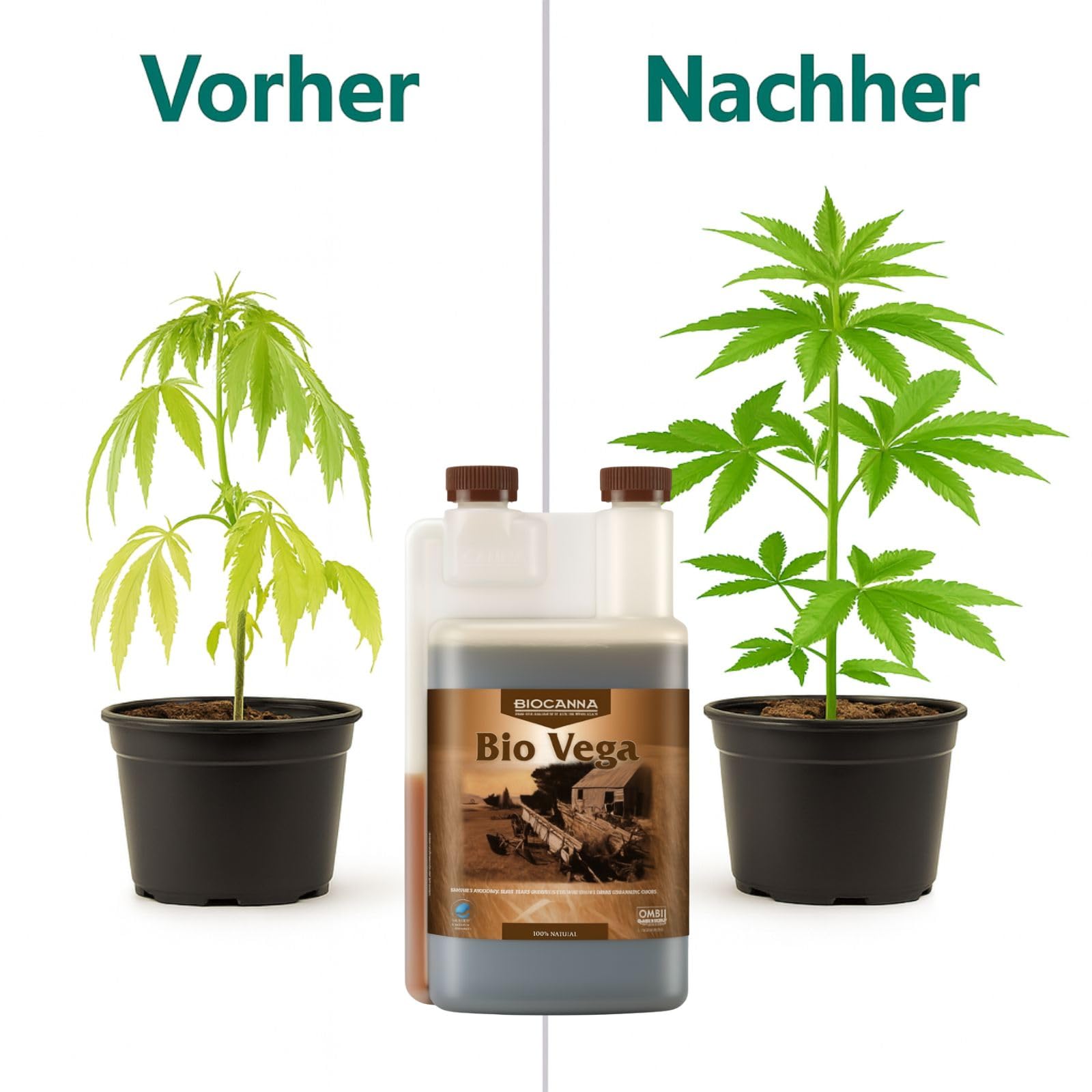 Weedness Canna Bio Vega 5 Liter - Wachstumsphase Grow Anbau Indoor Dünger Bio Tomaten Dünger Gurken Flüssigdünger Organischer