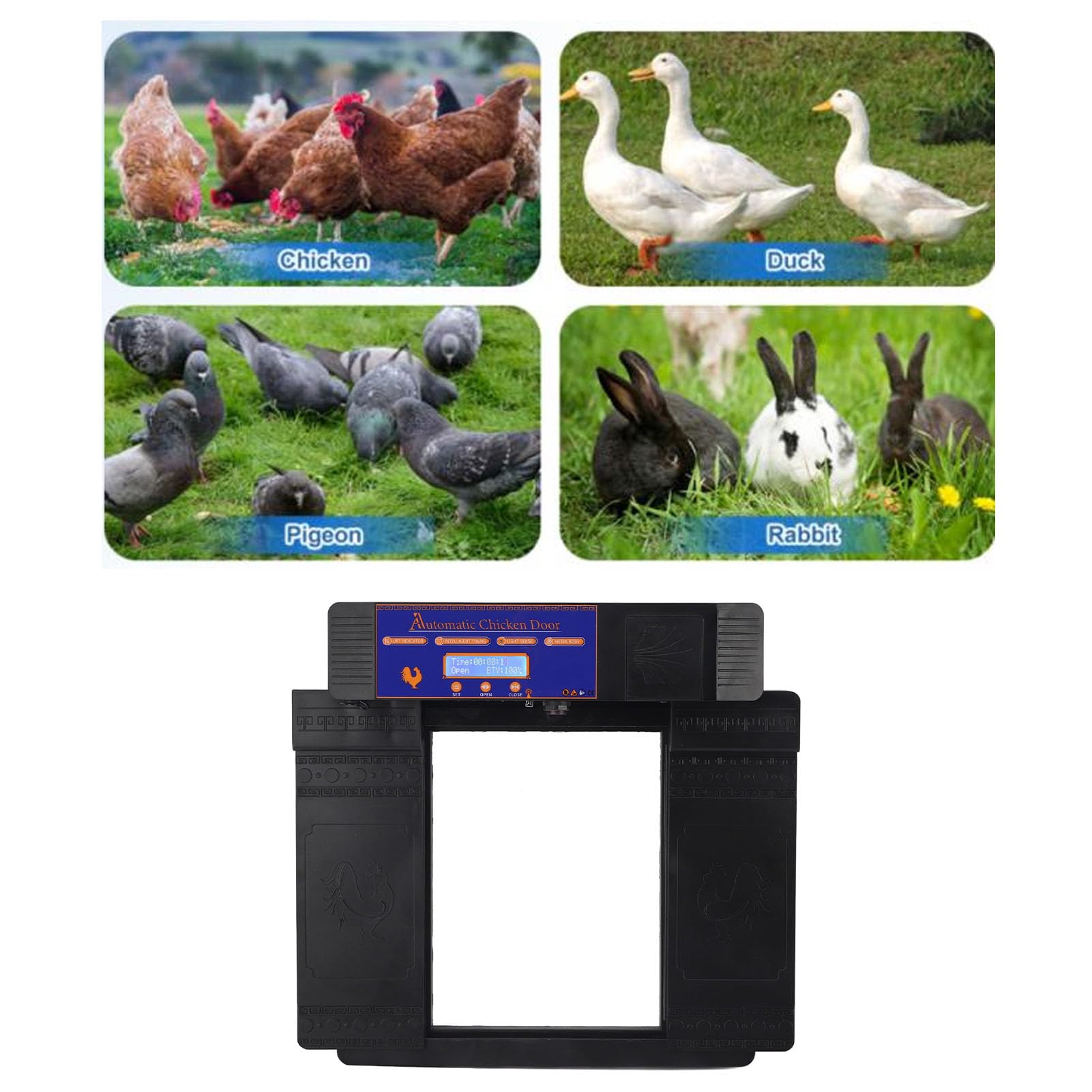 Porta Automatica per pollaio, sensore di Luce per Porta Automatica per pollaio, Doppia Porta, apriporta Anti pizzicamento, con Timer, Schermo LCD, avviso di Batteria scarica (Nero)