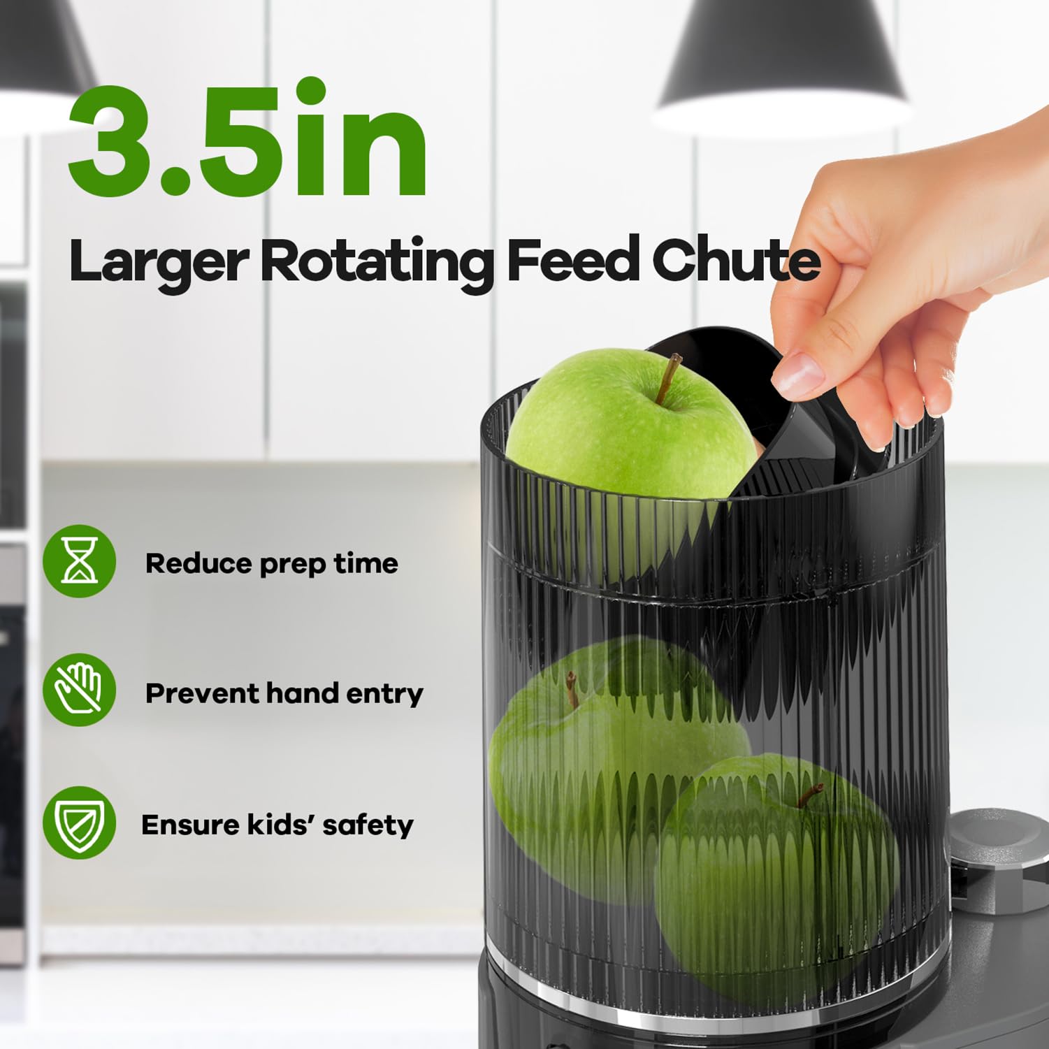 Masticating Juicer, Master Cold Press Juicer