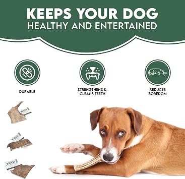 Natural Fallow Antler Dog Chew. Pack of 1x Small (Under 75g) Naturally Shed Fallow Deer Antler, Long Lasting Dog Chew Bone With Calcium And Minerals (Shape may vary)