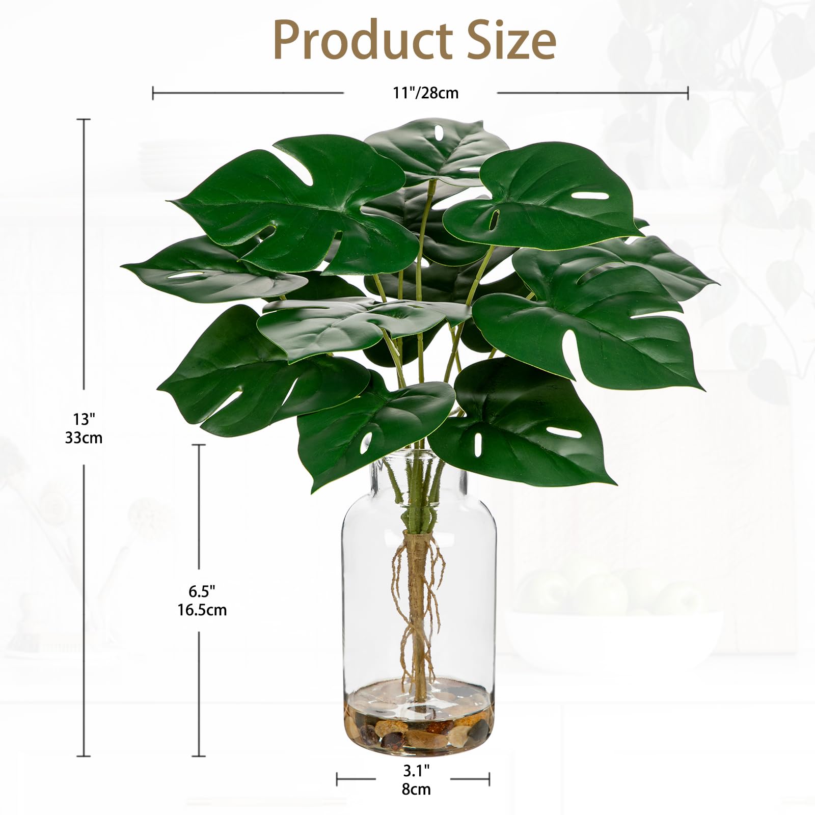 philodendron direct sunlight Philodendron 'Sunlight' – Green Mirrors main image 1