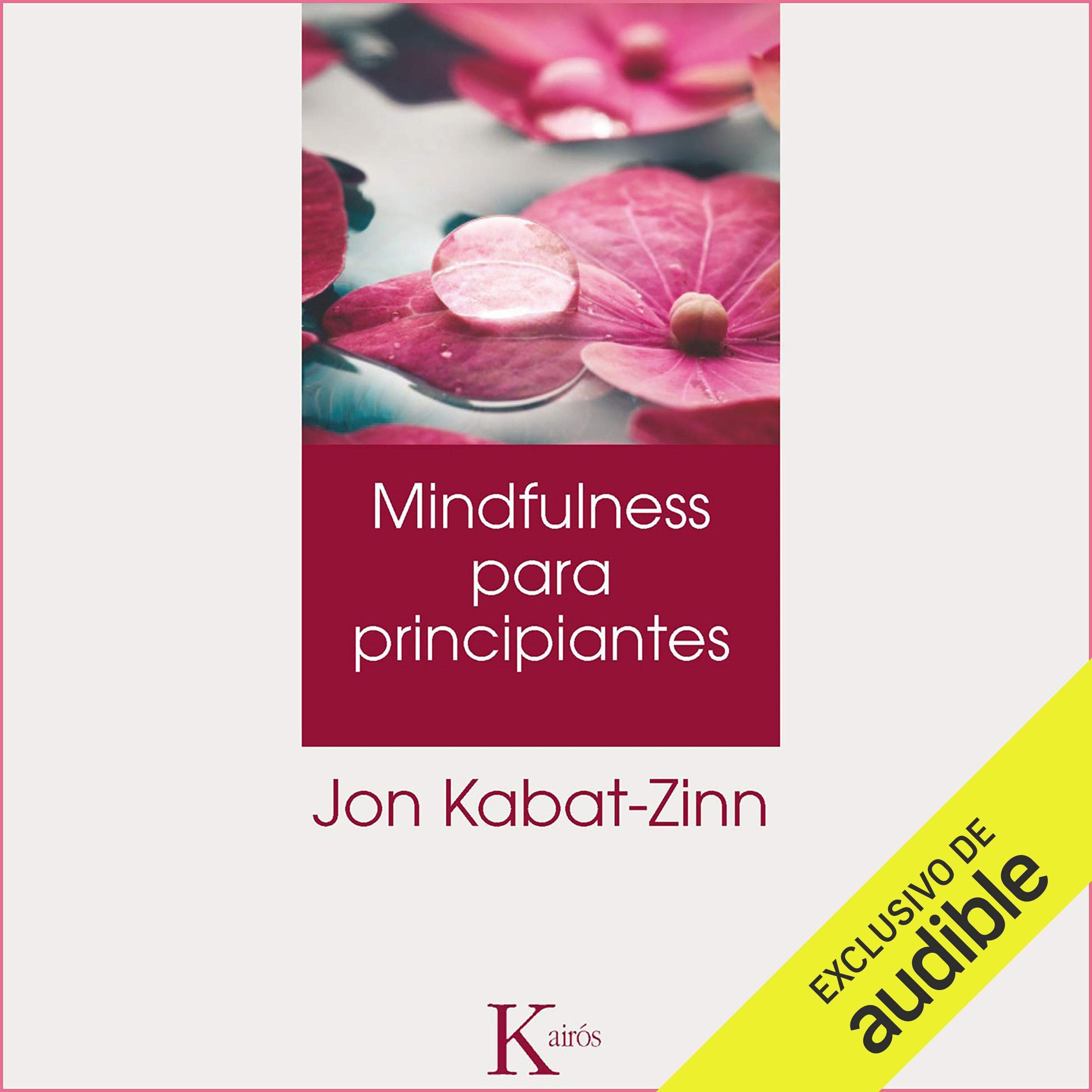 Cover art for Mindulfness para principantes [Mindulfness for Beginners]