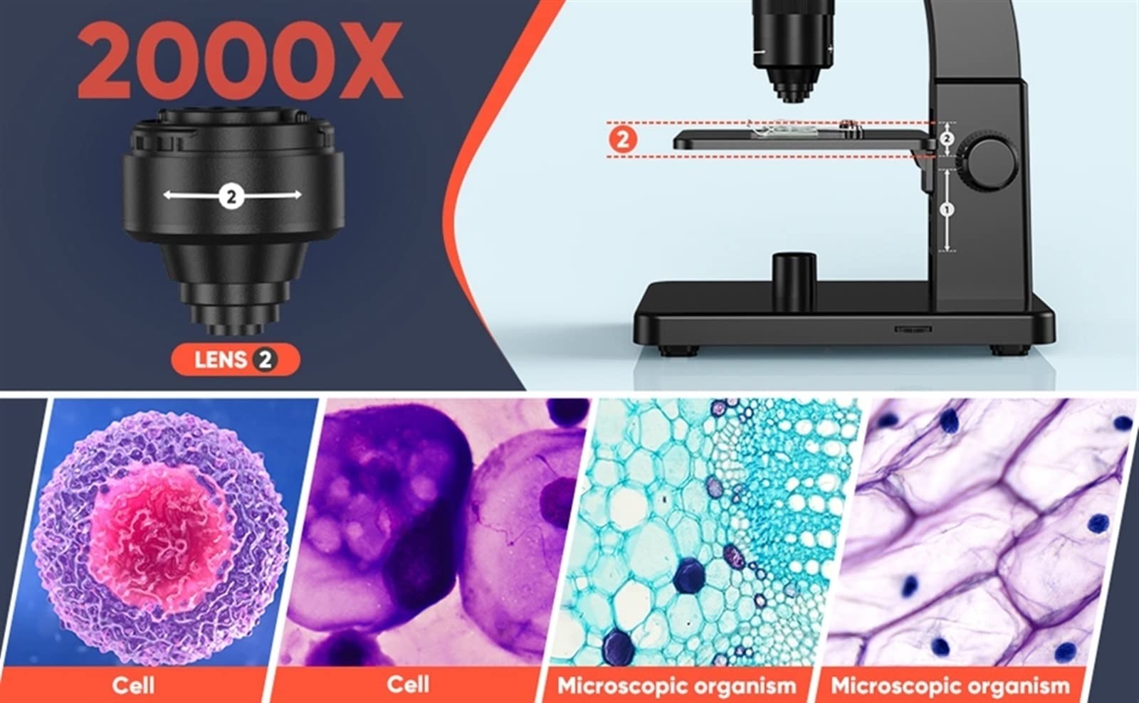 Microscopio Digital 2000X 7 IPS 12MP 1080P Laboratorio Microscopio biológico Cámara Lente Dual con Control Remoto,Ofreciendo Mayor PrecisióN(32GB RC)