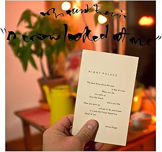 Crow Looked At Me Mini Lp Sleeve