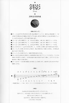 上角筝 斜影 一楽章（沢井比河流作曲）箏:松岡由子 yuuko matsuoka koto