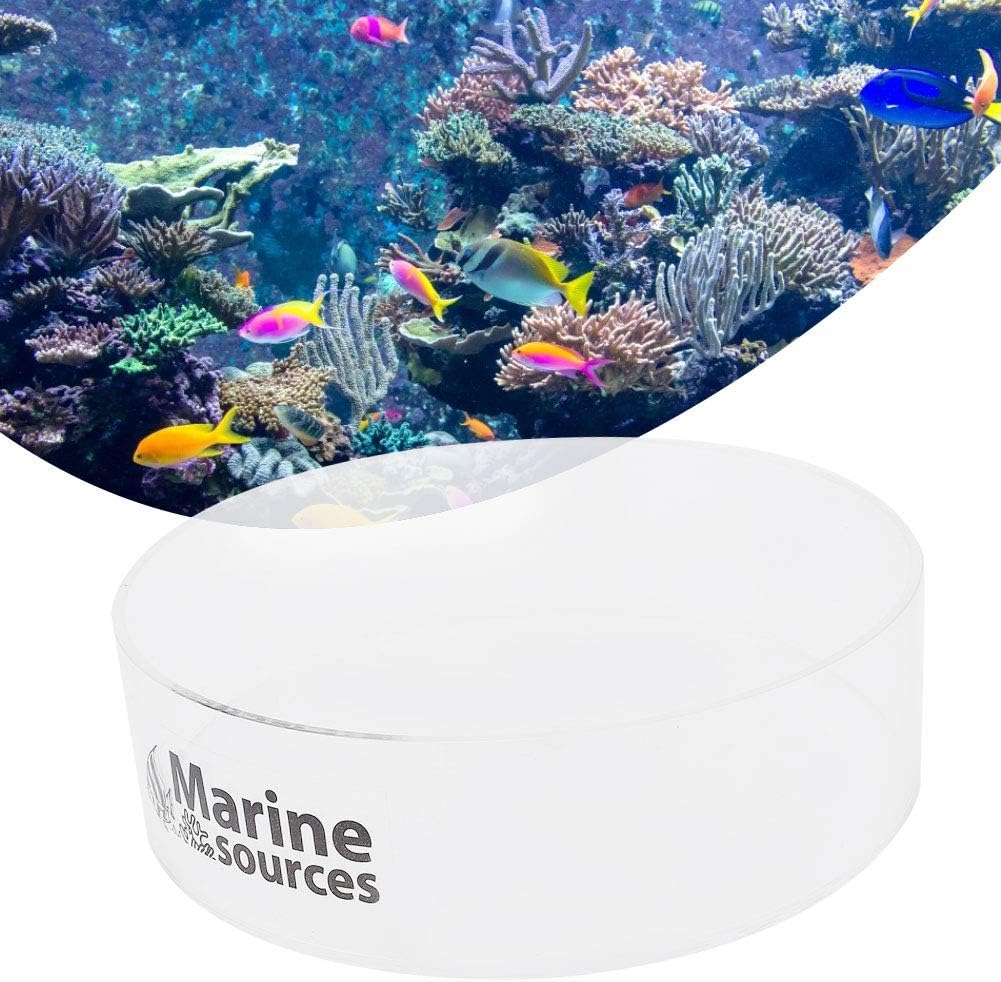 Viewer, Acrylic Observe Lense Aquarium Fish Photograph Cylinder Observe for Viewing Taking Pictures 250mm