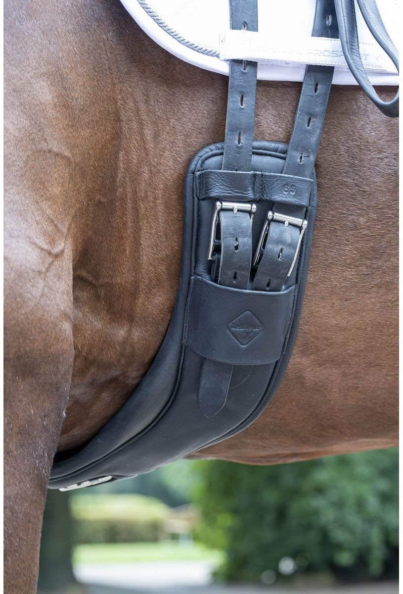 LeMieux® Gel-Tek Anatomic Dressage Girth