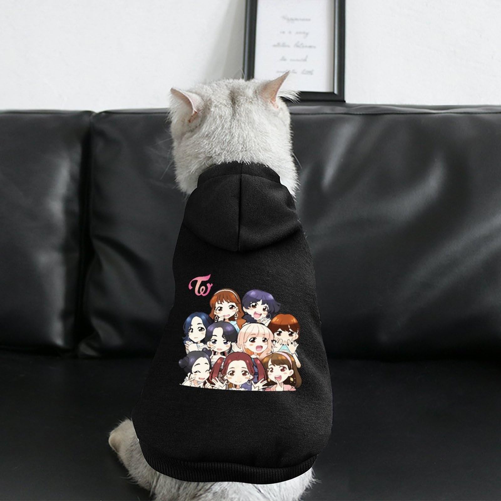 Amazon.co.jp: ペット服 Twice トゥワイス 犬服 猫服 パーカー フード