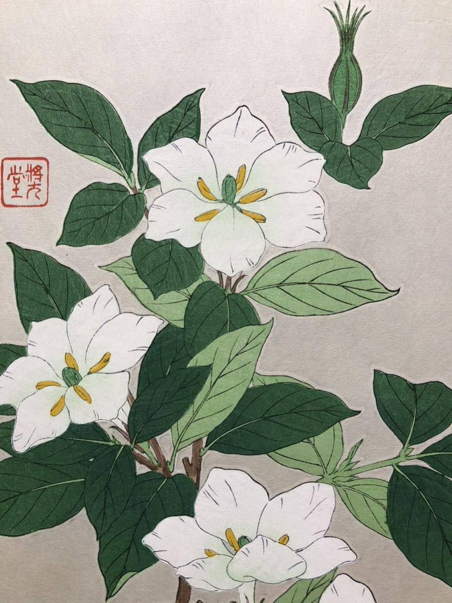 河原崎奨堂 木版画 椿 花版画