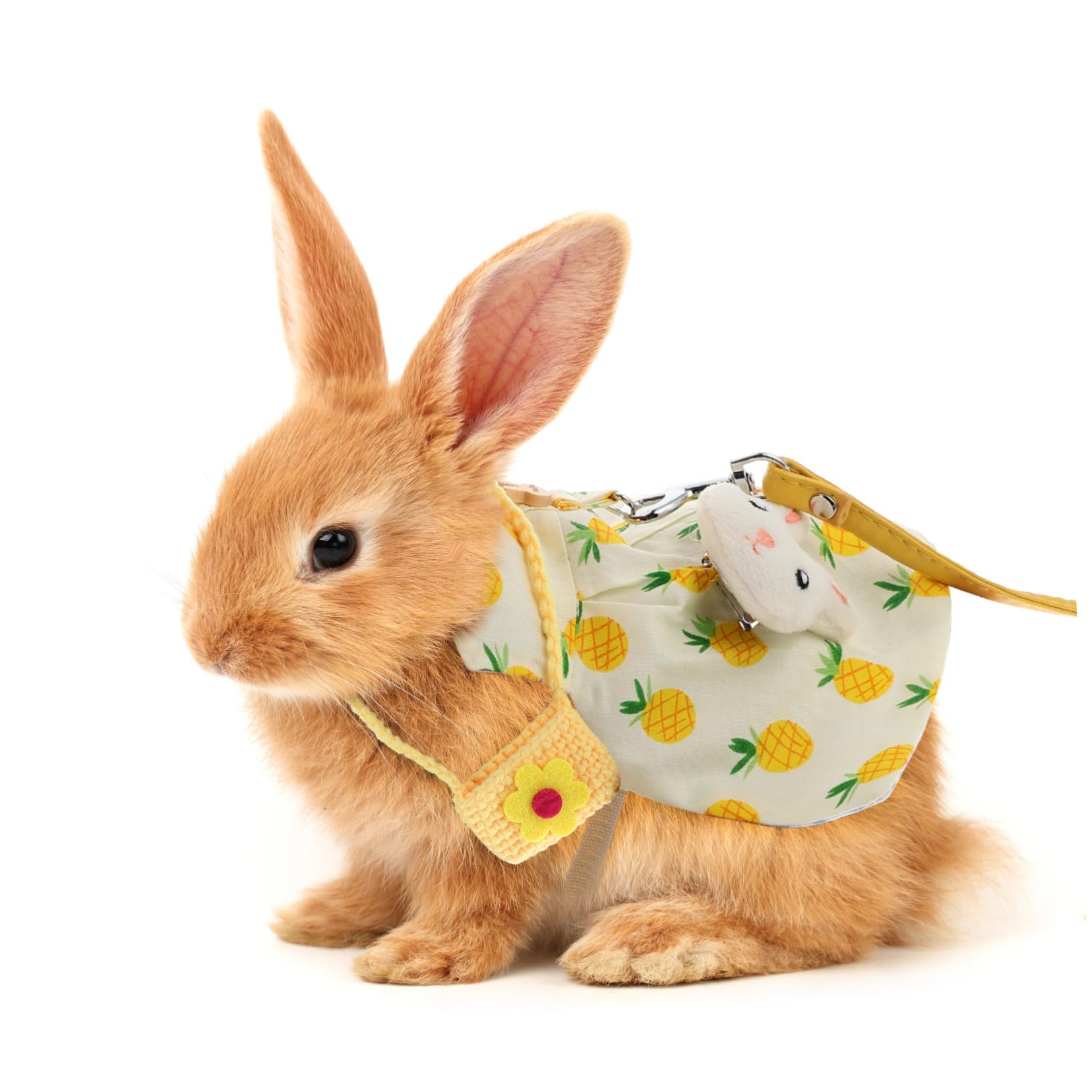 2 Sätze Kaninchen Geschirr Leine aus Baumwolle mit Niedlichem Hut und Tasche Verstellbar Bequem und Sicher für Kleine Haustiere Wie Meerschweinchen und Jung