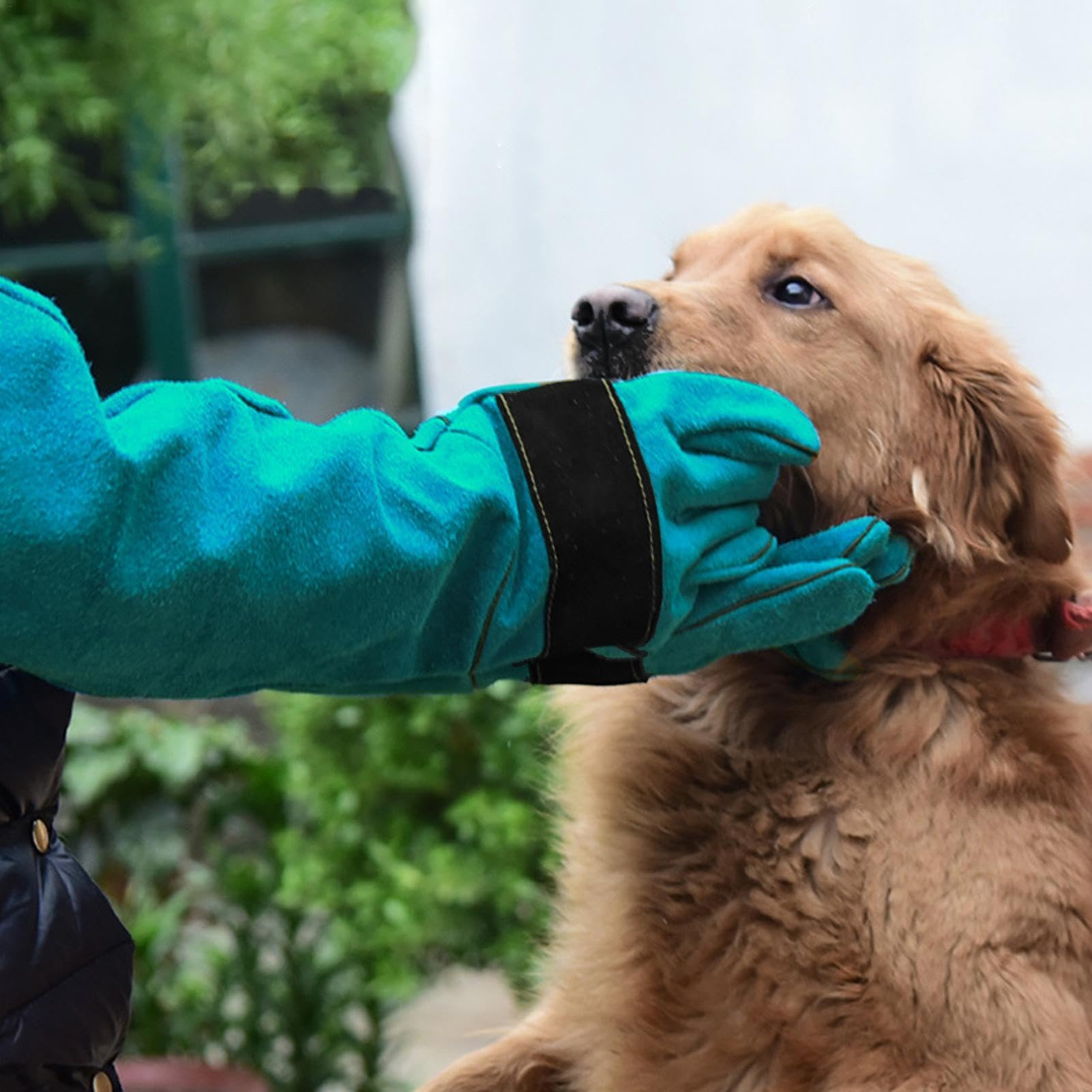 Mehrzweck-Handschuhe für Reptilien, bissfest, durchstichsicher, verstärkte Polsterung, Hund für Tierärzte, Tierpfleger, Hundefriseure | Polsterung, Hund für Tierärzte, Tierpfleger, Hundefriseure