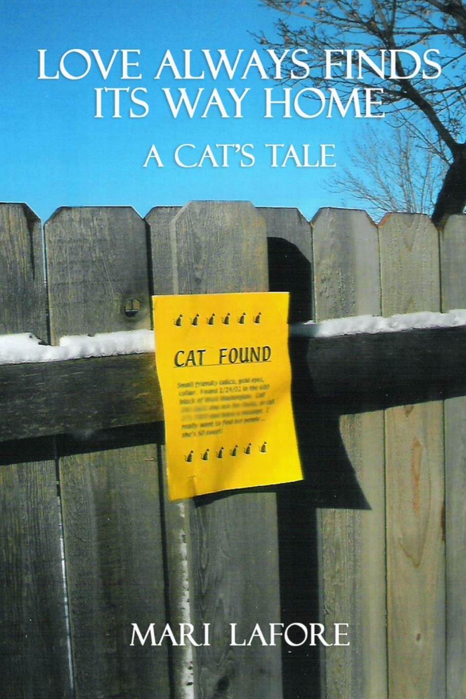 LOVE ALWAYS FINDS ITS WAY HOME: A CAT'S TALE