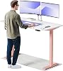Desktronic HomeOne – Elektrisch höhenverstellbarer Schreibtisch aus 160 × 80 cm mit Touchscreen-Steuerung & integrierten USB-A & USB-C Ladeanschlüssen