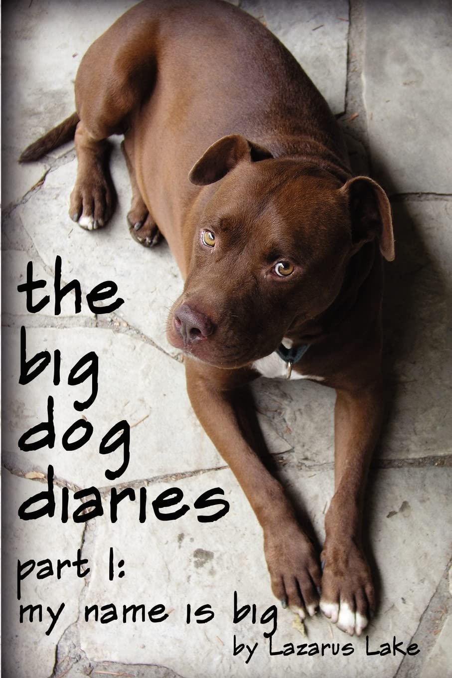 My Name is Big: The Search For a Home For a Pit Bull Rescue Dog: Volume 1