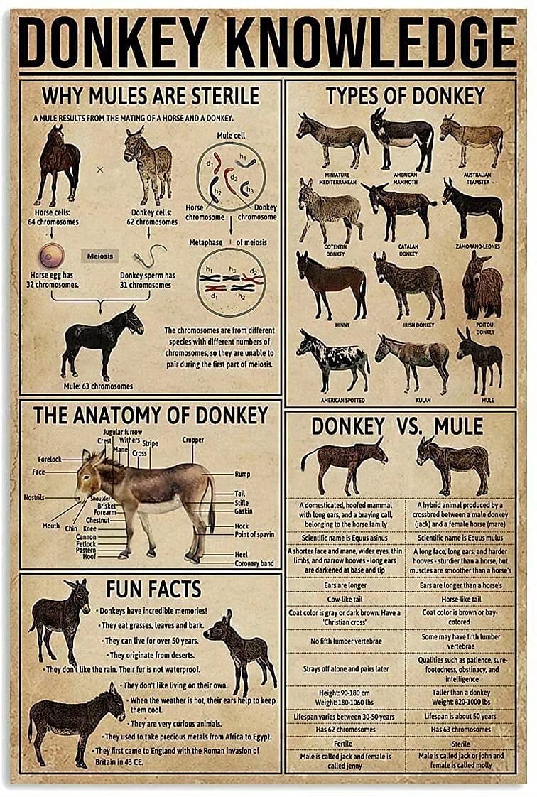 Donkey Knowledge Metal Signs, Fun Poster For Bar Kitchen Cafe Farmhouse Wall Decor 12x16 inch