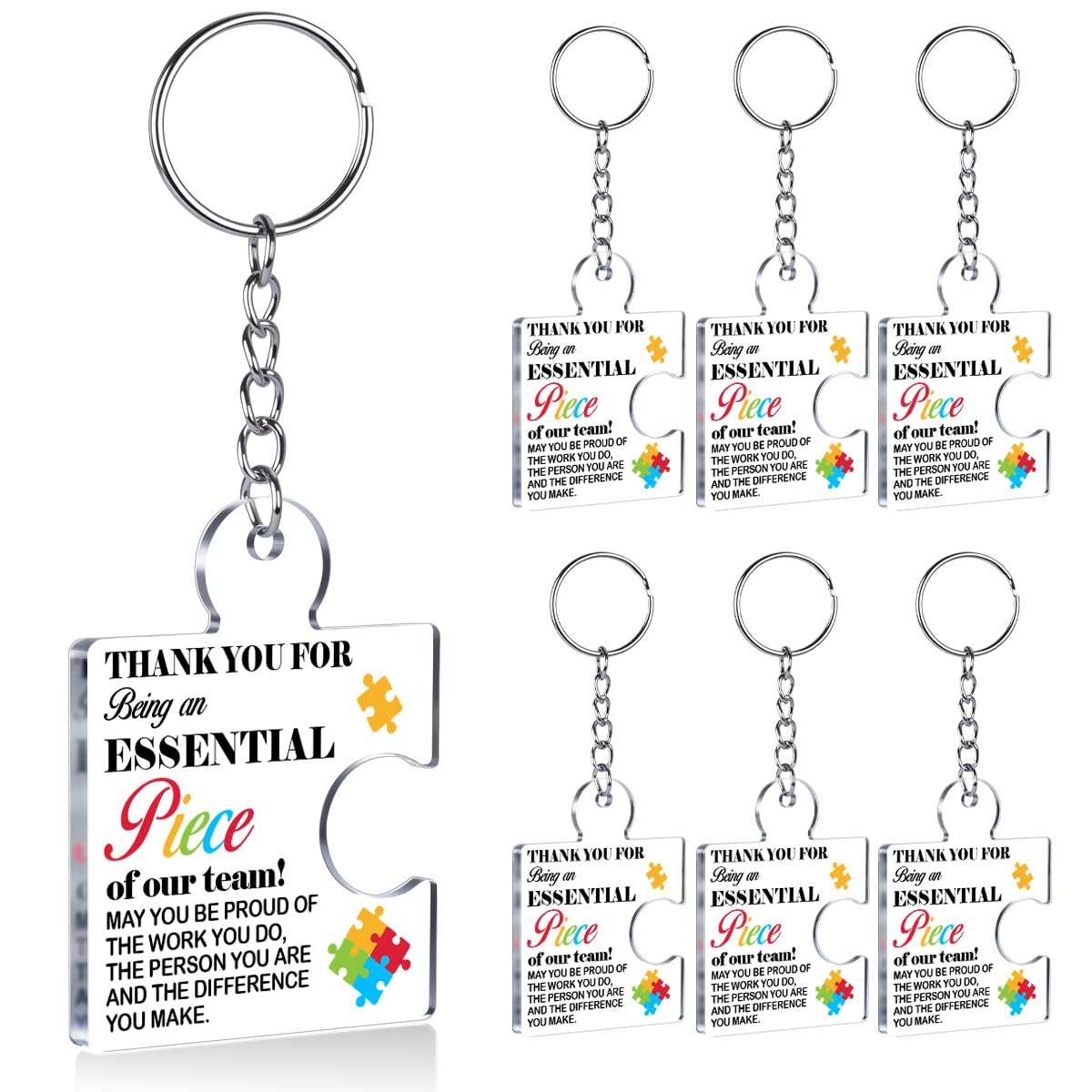 Team Appreciation Gifts Bulk Thank You Keychains for Coworkers