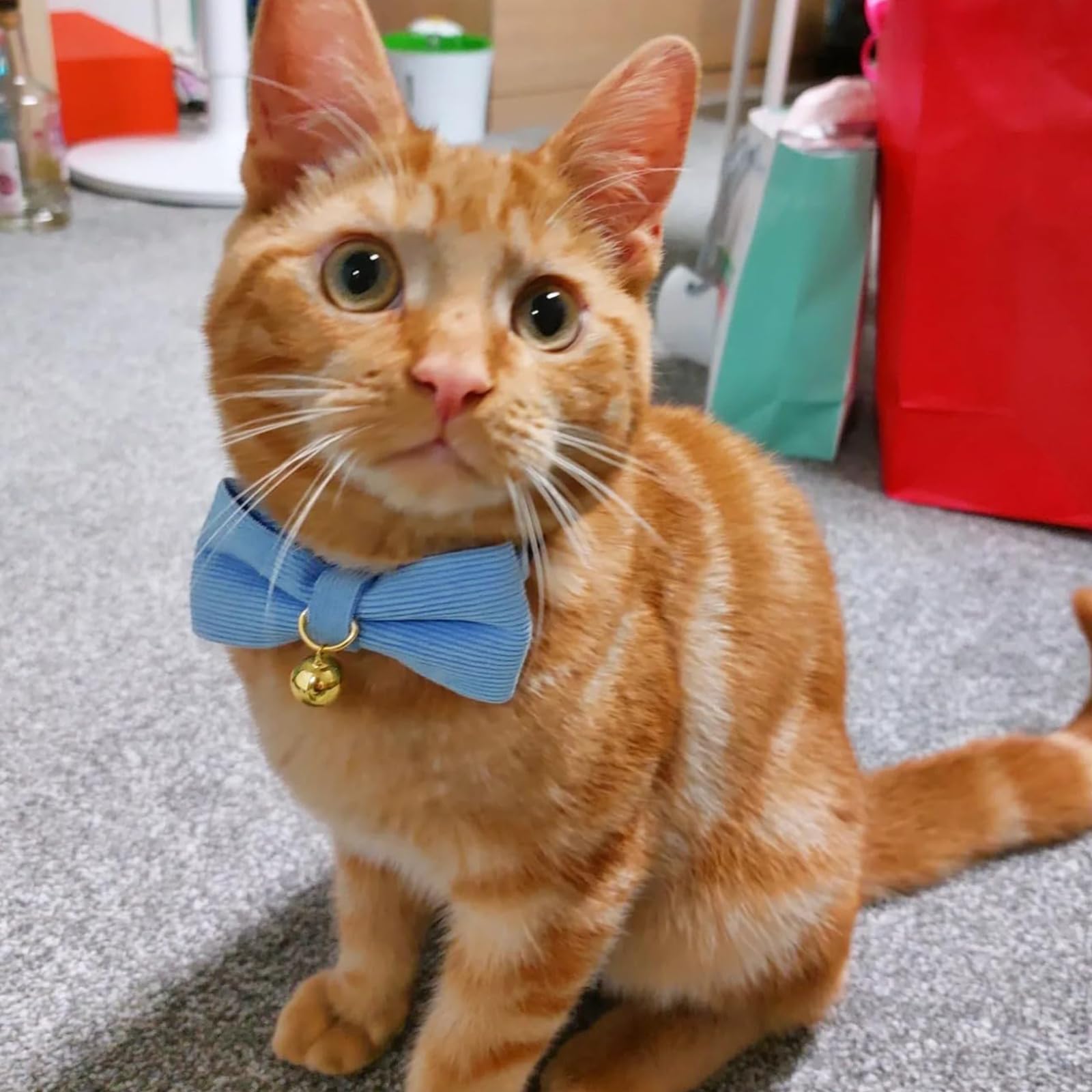YUDOTE Ultra-soft Collar Natural Cotton Corduroy Made for Cats with Sensitive Skin Safety Kitten Collars with Quick-release Buckle and Removeable Bow-tie - Image 2