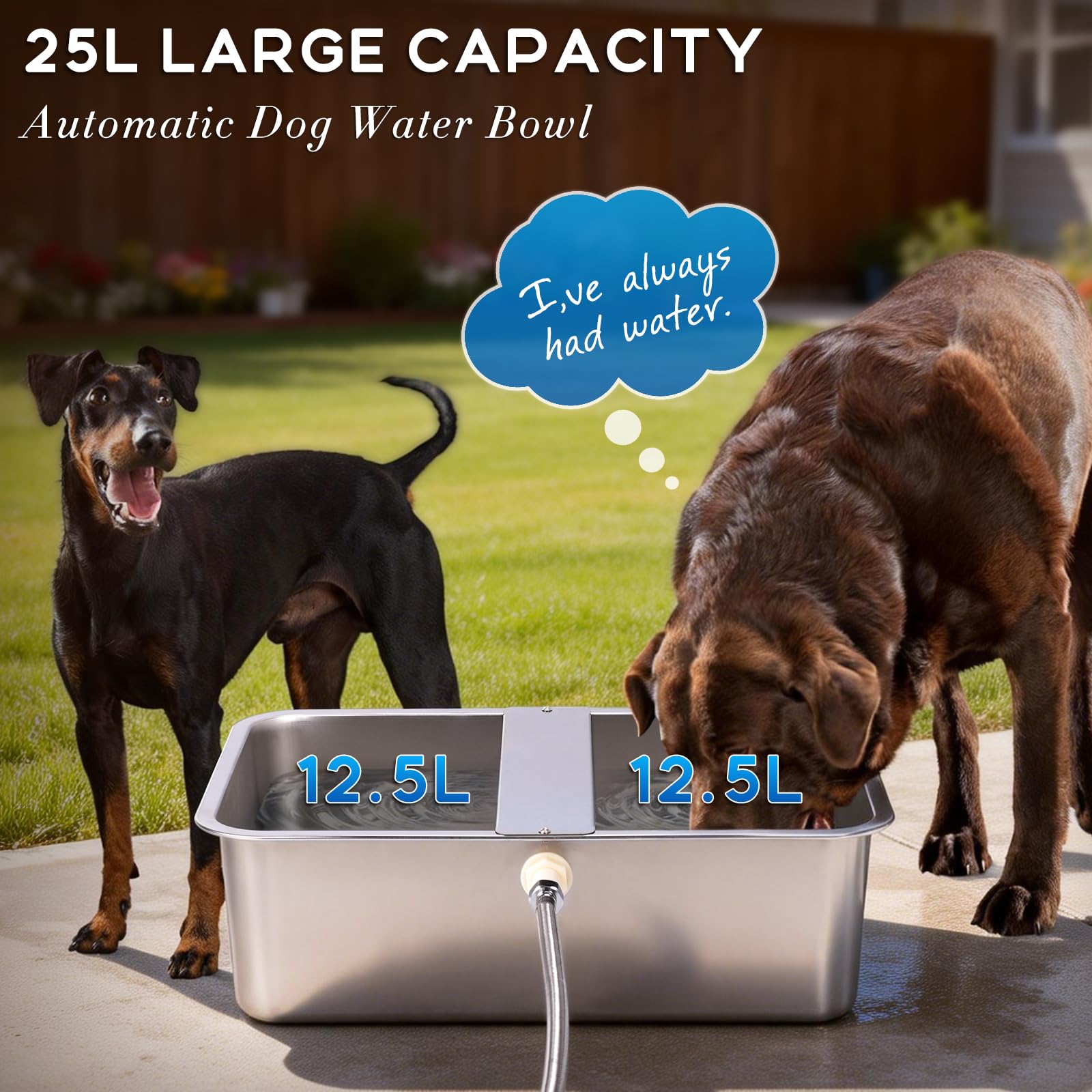 Distributore Automatico di Acqua per Cani da 25L con Valvola Galleggiante, Abbeveratoio per Cani all'Aperto per Due Cani, Ciotola per Acqua per Cani a Gravità in Acciaio Inox (Autocompletar)