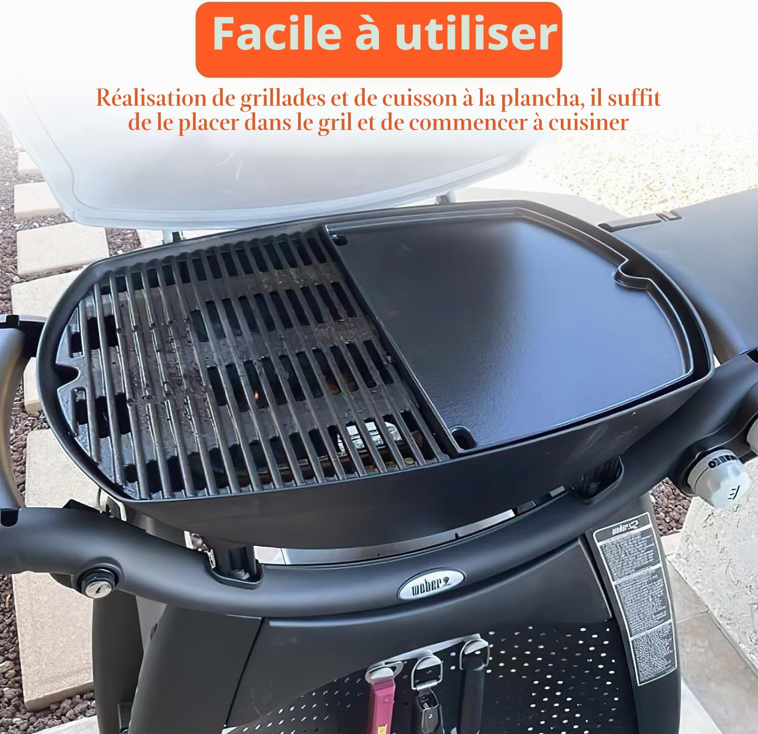 GFTIME Plaque en fonte 6560 pour Weber Q 300, Spirit, Genesis et Summit