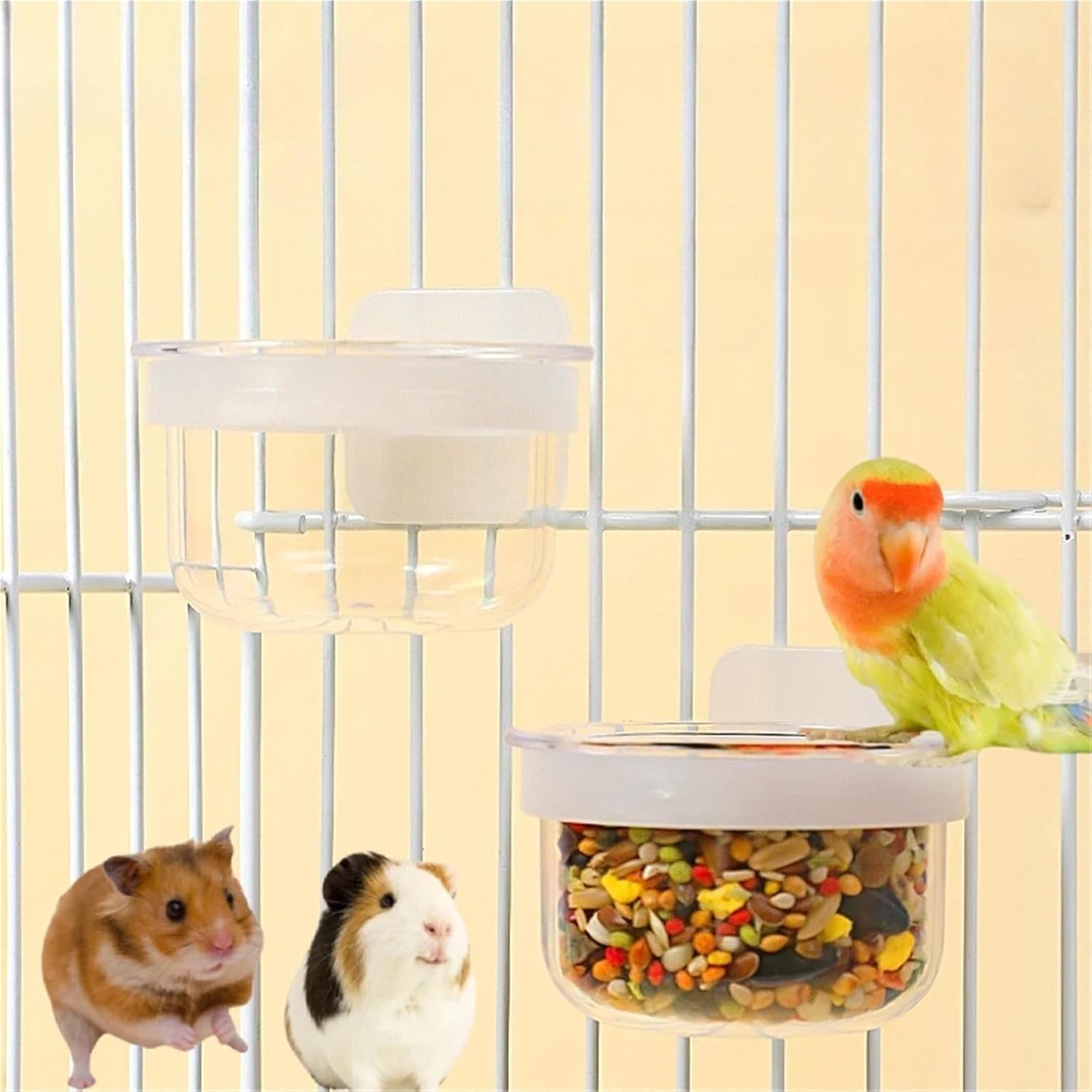 Bird Training Food Jar 10Pcs Parrots Feeding Bowl for Cage Detachable Transparent Bowls for Canary Finch Parrot Seed Water Feeder Cage Cup for Small Birds White(No Food) for Canary Finch Outdoor Use