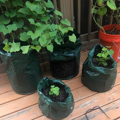 Miniatura 9 de JJGoo Potato Grow Bags, 4 Pack 10 Gallon with Flap and Handles Planter Pots for Onion, Fruits, Tomato, Carrot - Green