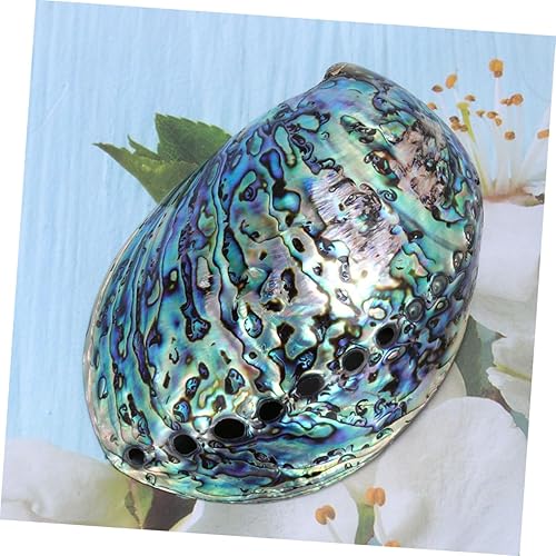 Miniatura 6 de Artibetter Making Shell Beach Party Favors Abalone Shell Homemade Ornaments Abalone Shell for Smudge Bowl White Decor Natural Shell Accessories