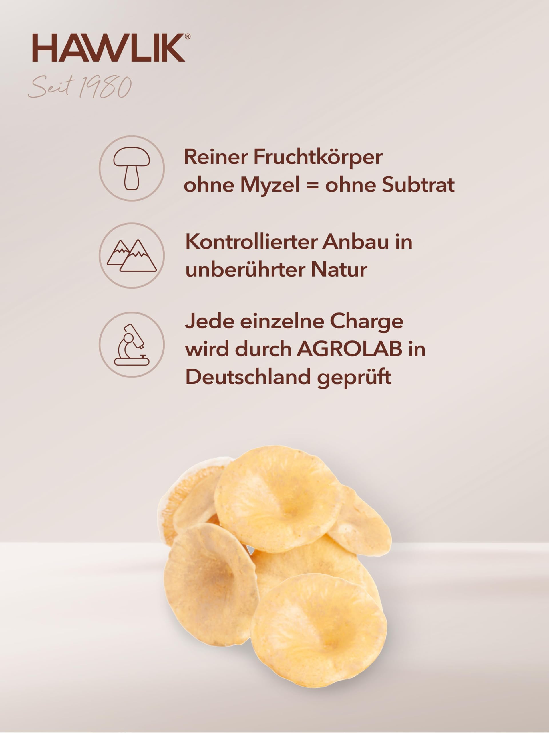 HAWLIK Vitalpilze Polyporus Extrakt Kapseln - 240 Kapseln - Mit Vitamin C - Natürlicher Anbau - Vegan - Zuckerrohr-Dose
