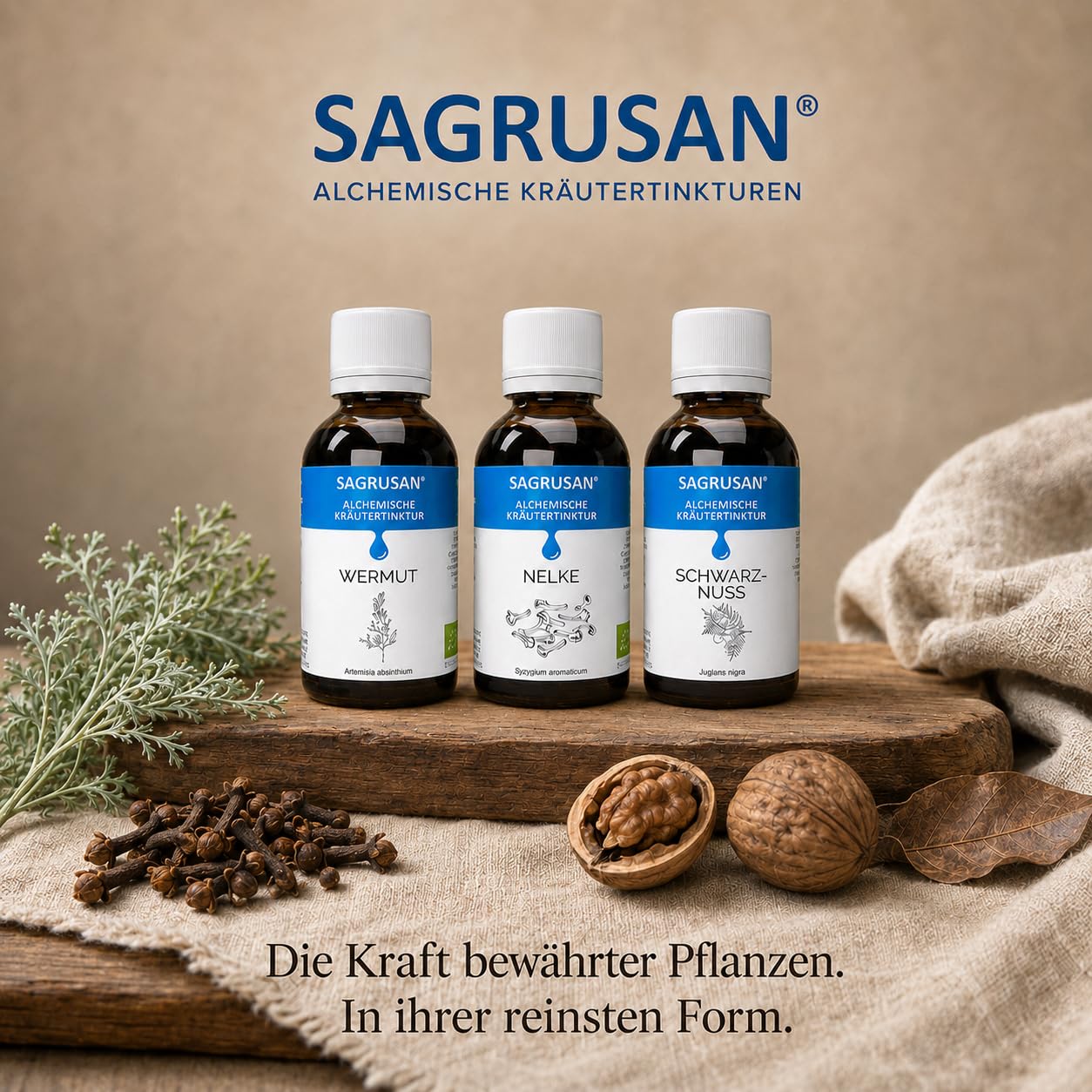PARAMIX – Wermut, Nelke & Schwarznuss Kräutertinktur Komplex | 3x 50 ml
