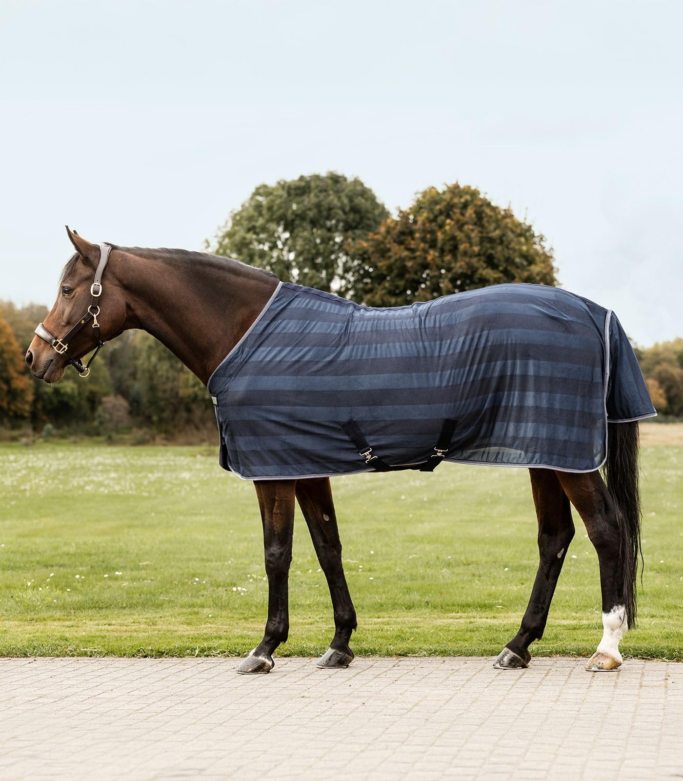 HORSE FLY RUG FLY SHEET FOR HORSE PONY SHETLAND NAVY 5'0" to 7'0" (5'9")