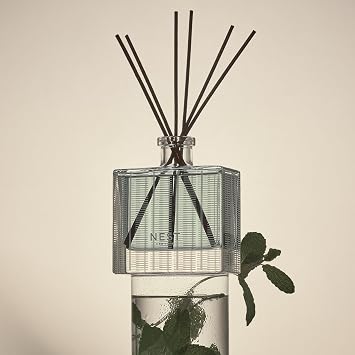 NEST New York Reed Diffuser, Reed Diffuser Liquid Refill & Liquid Soap - Wild Mint & Eucalyptus